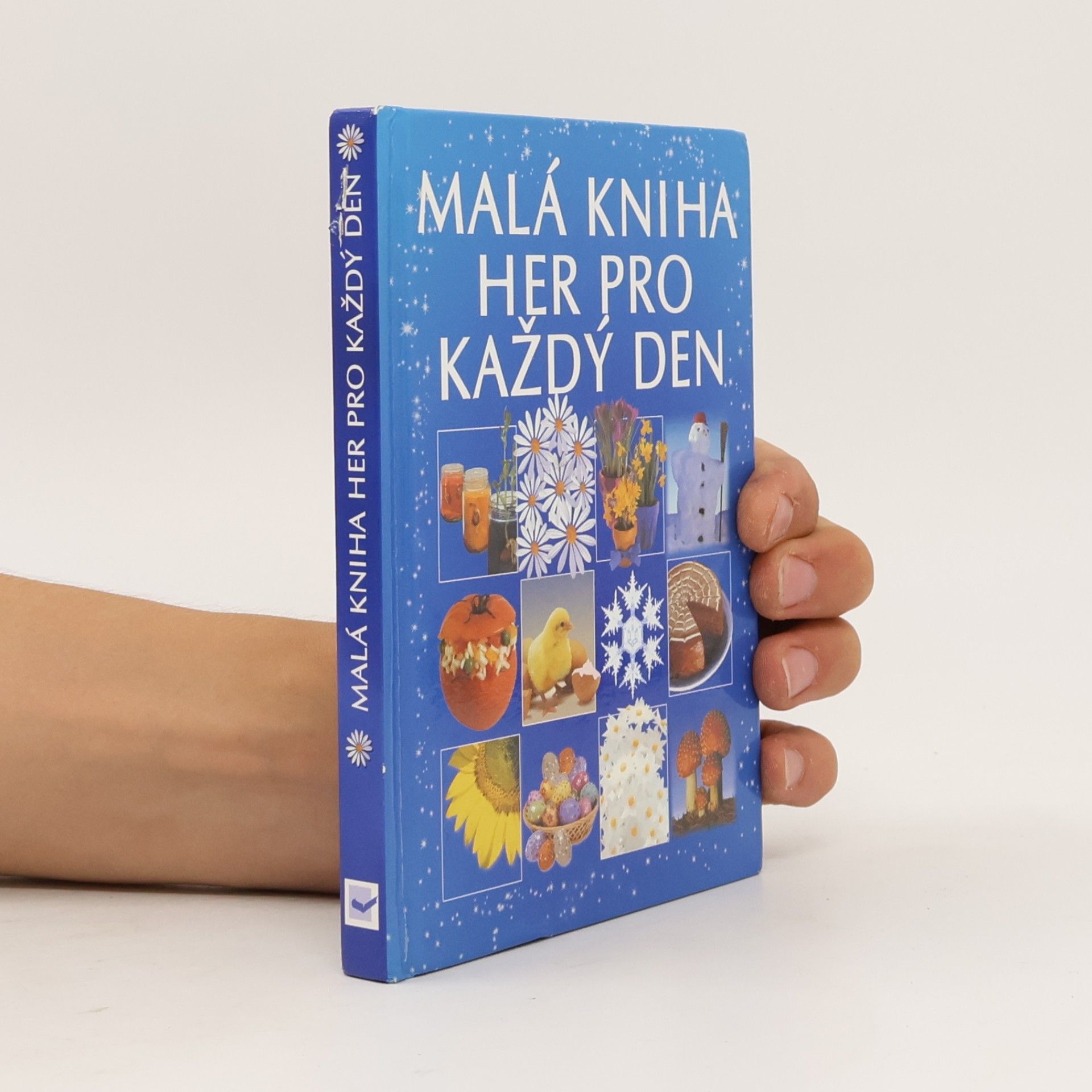 Dona Zalmanová Malá kniha her pro každý den