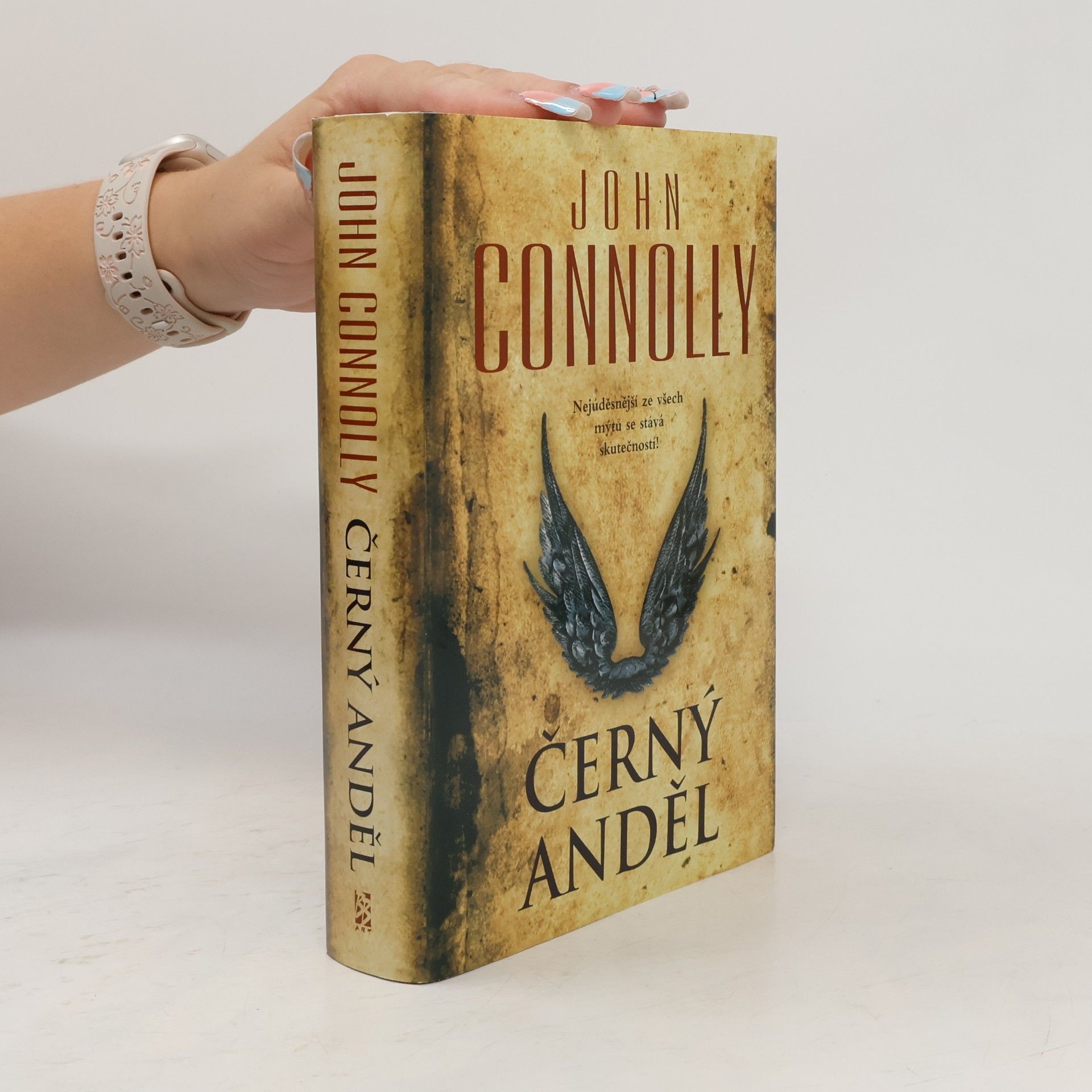 John Connolly Černý anděl
