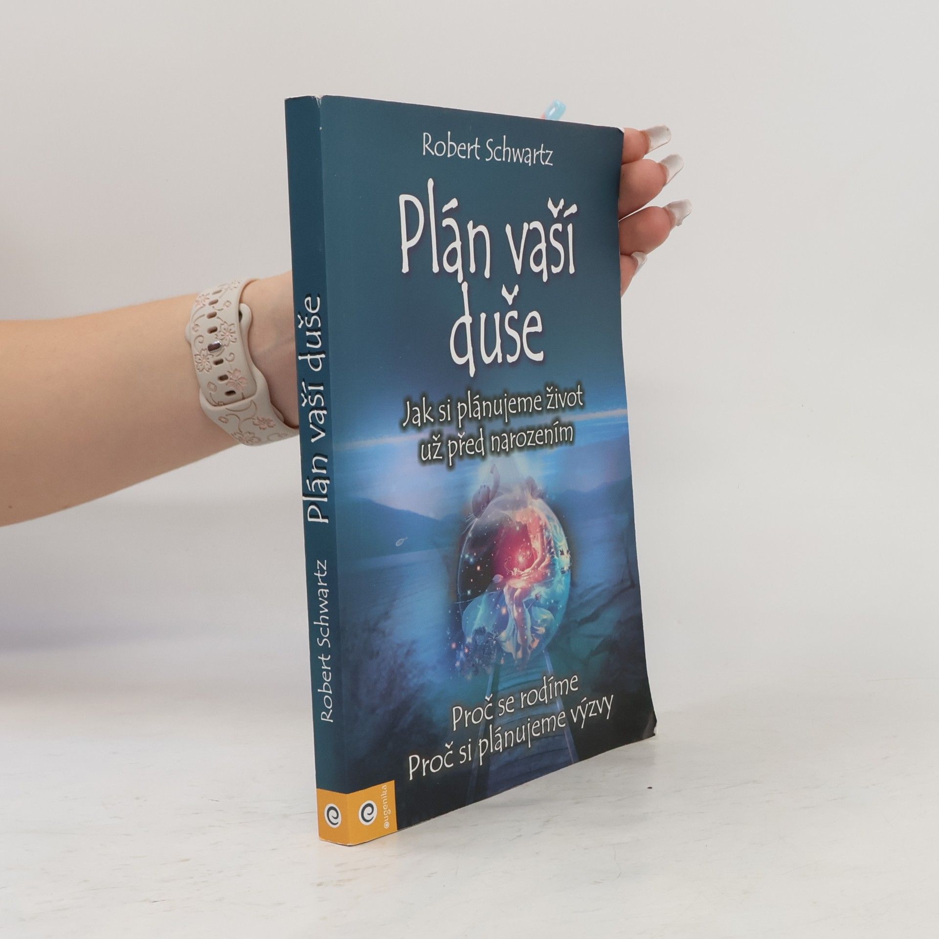 Zuzana Šestáková Plán vaší duše. Jak si plánujeme život už před narozením
