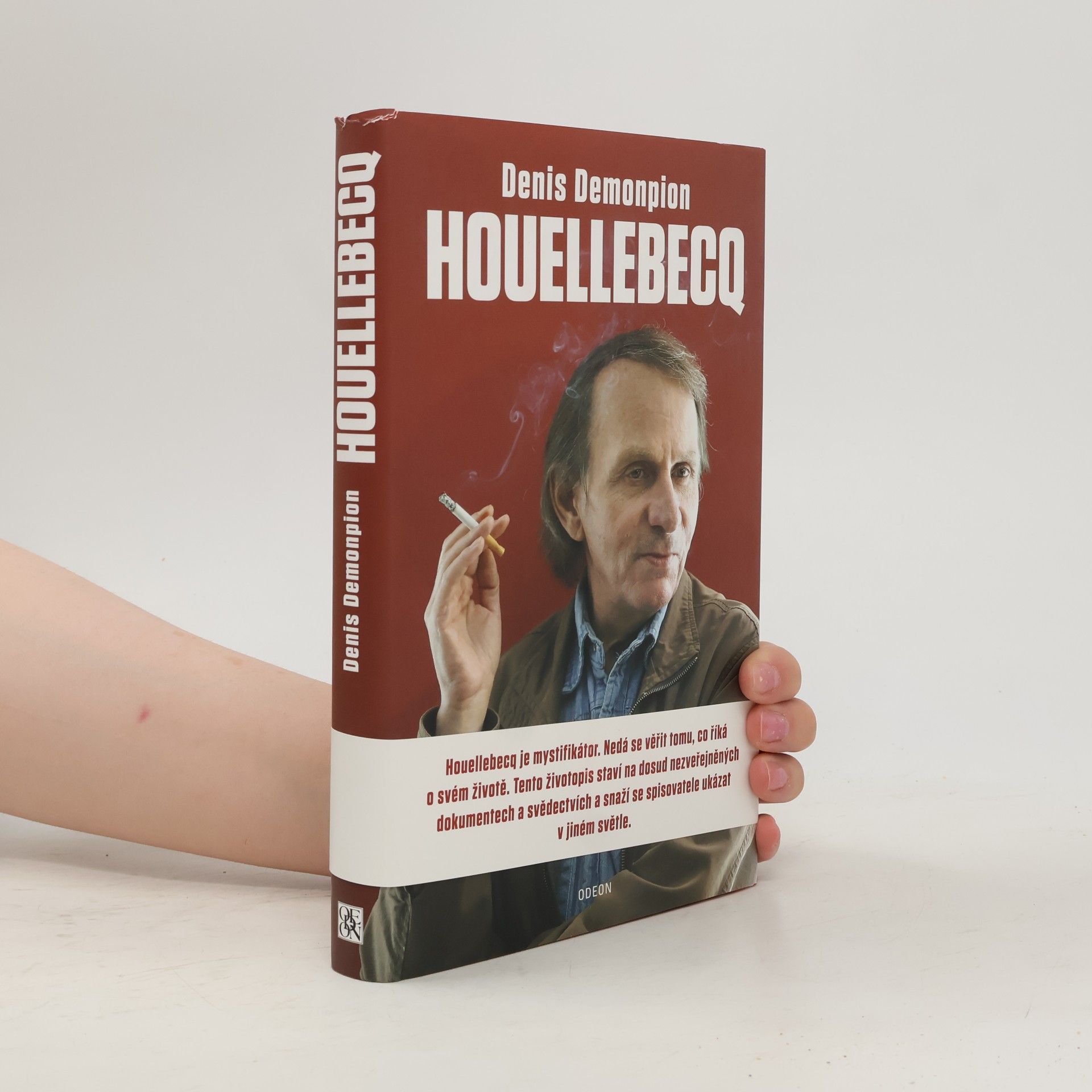 Denis Demonpion Houellebecq