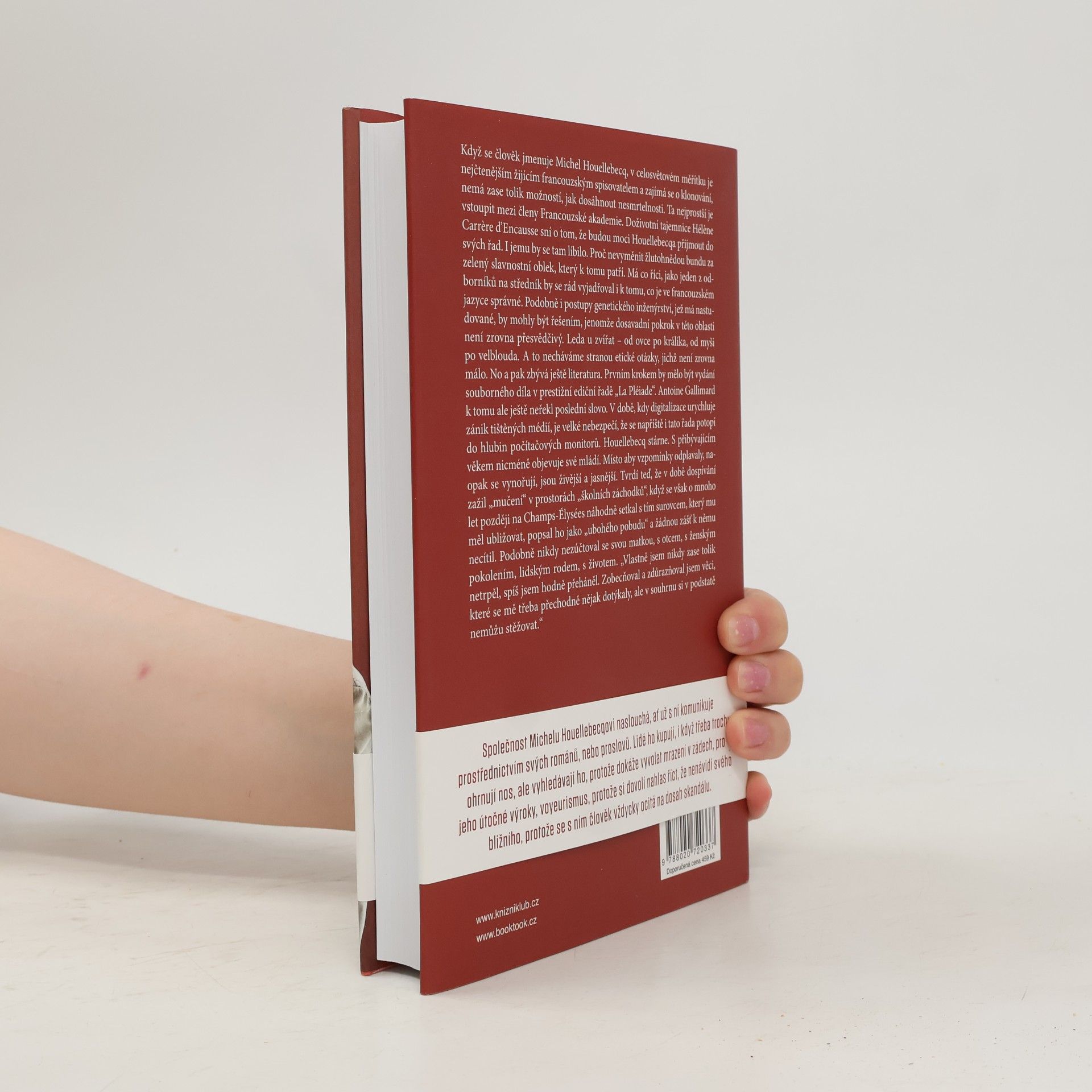 Denis Demonpion Houellebecq