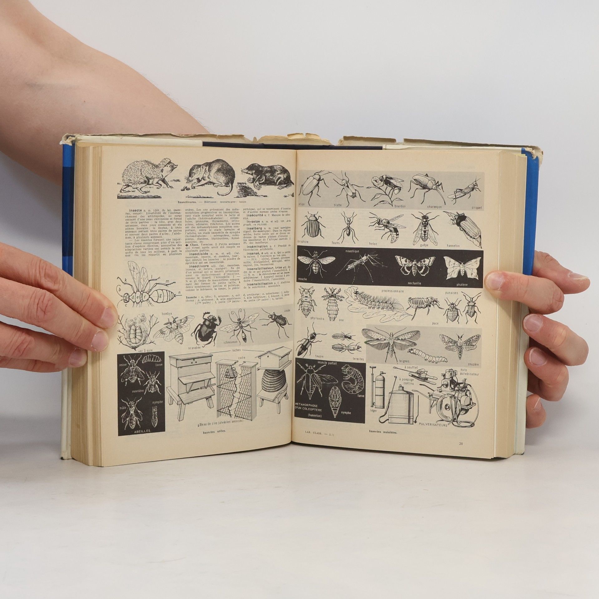 Autorenkollektiv Larousse classique