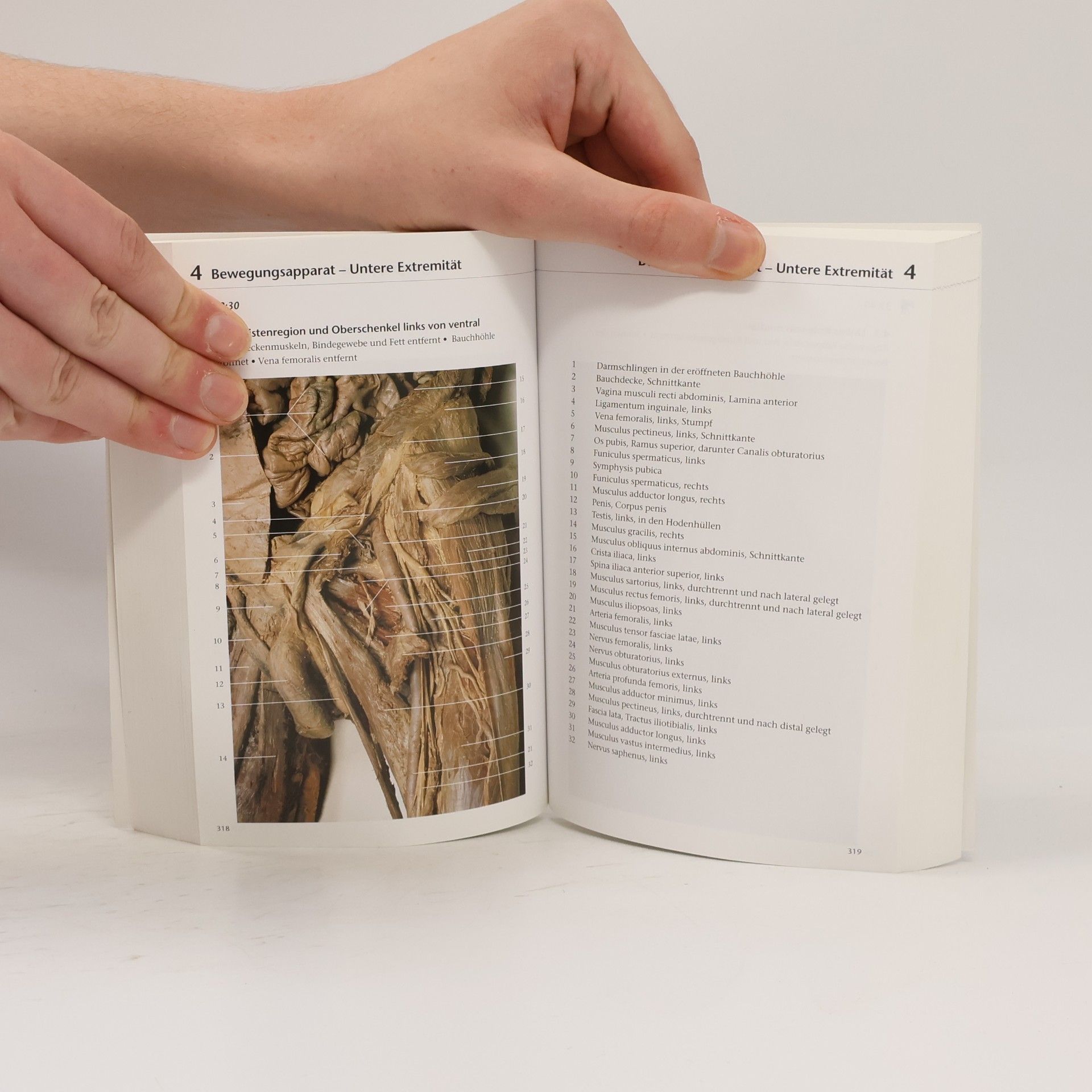Klaus-Peter Valerius Lehmanns PowerPockets - Fotoatlas Anatomie