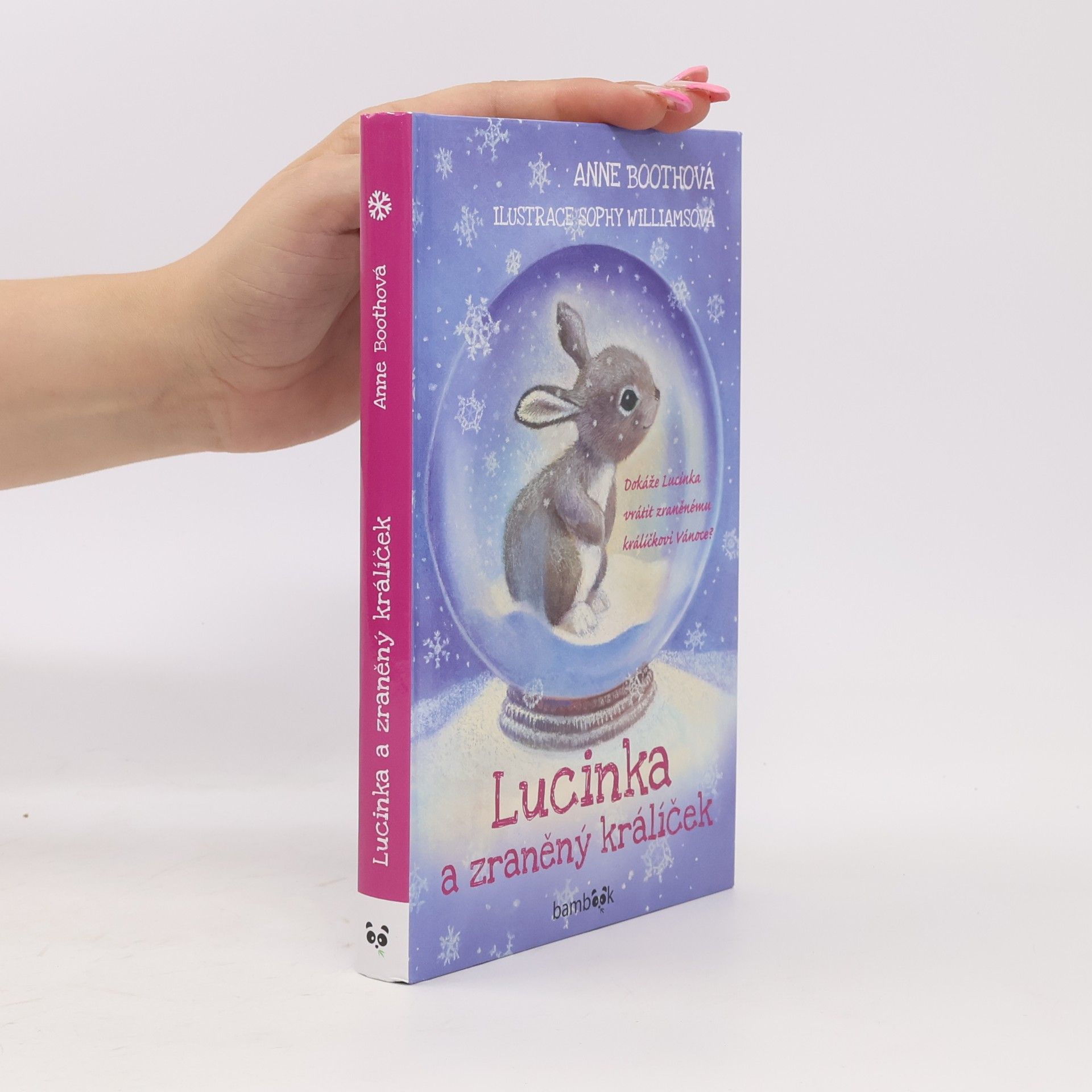 Anne Booth Lucinka a zraněný králíček