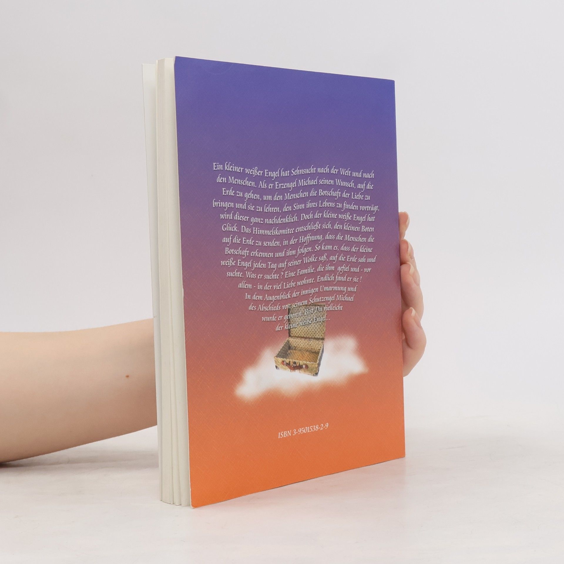 Martina Unger Ein Engel geht auf Reisen: Buch mit Liebe