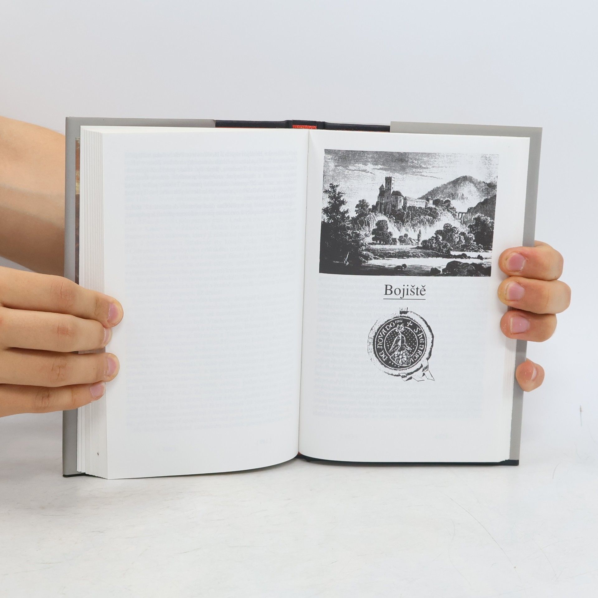 František Kavka Zlatý věk Růží : kus české historie 16. století