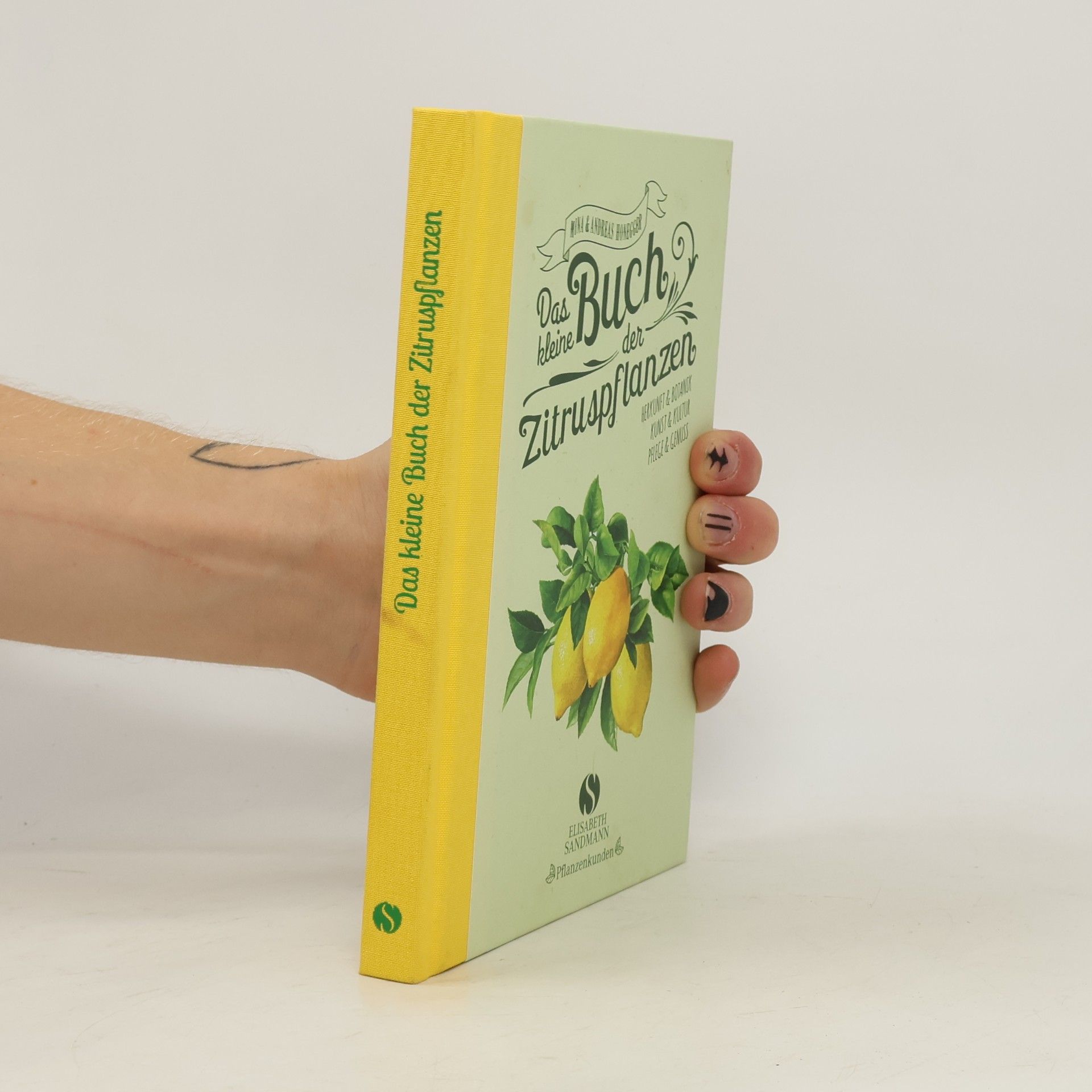 Mina Honegger Das kleine Buch der Zitruspflanzen