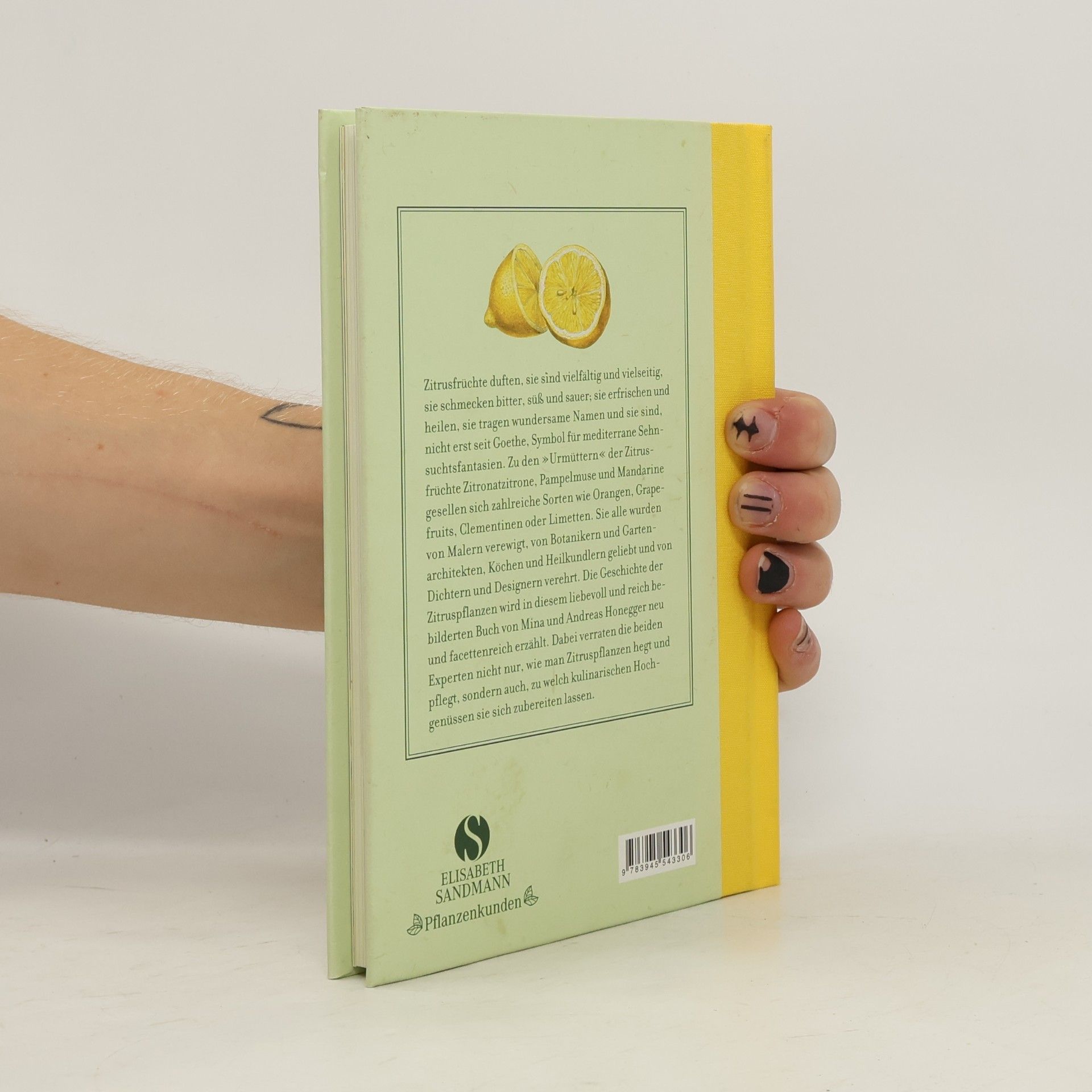 Mina Honegger Das kleine Buch der Zitruspflanzen