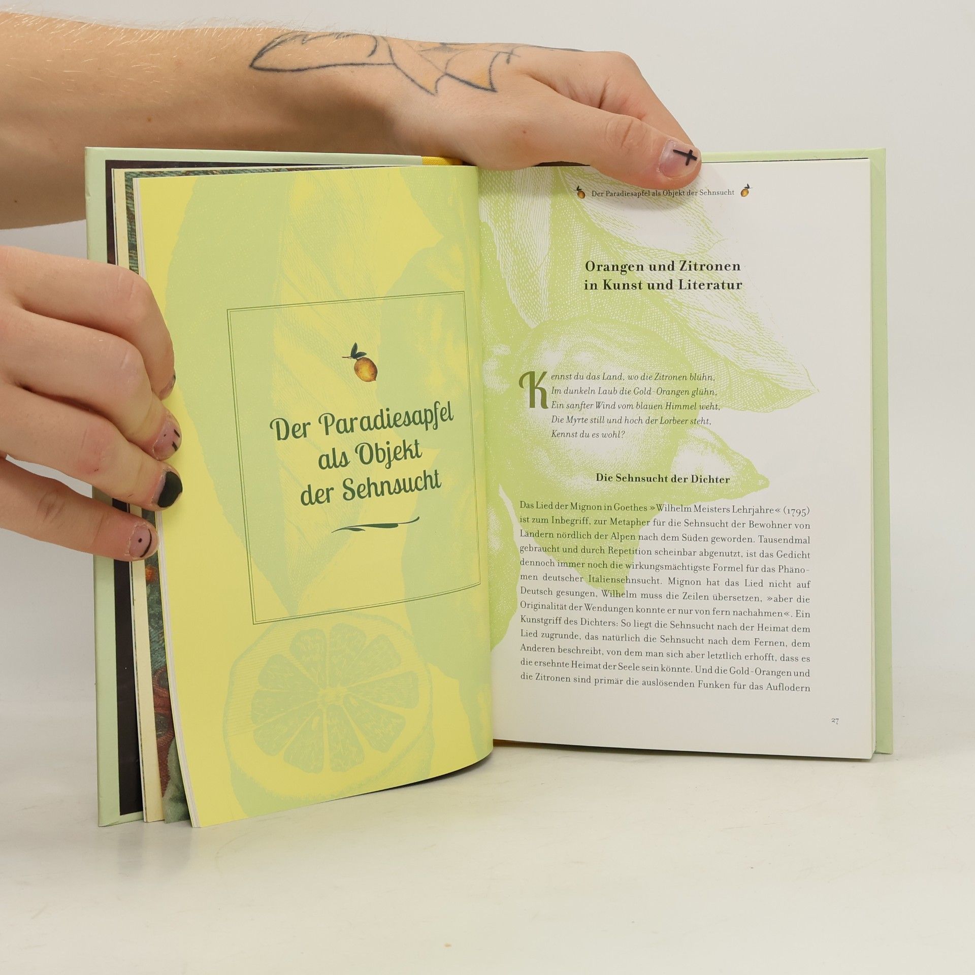 Mina Honegger Das kleine Buch der Zitruspflanzen