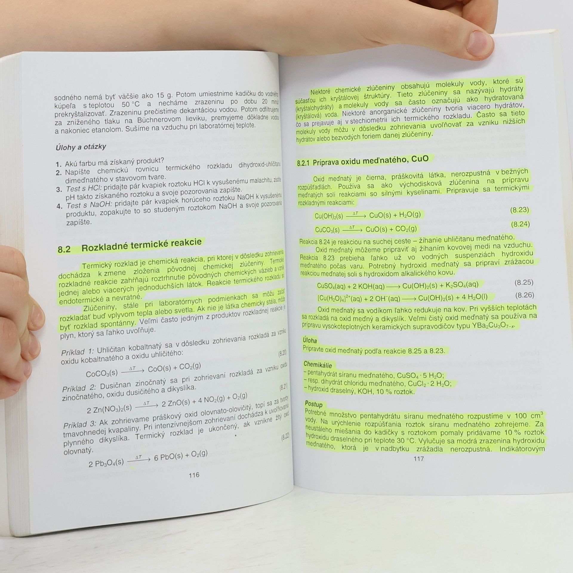 Iveta Ondrejkovičová Anorganická chémia, Praktikum