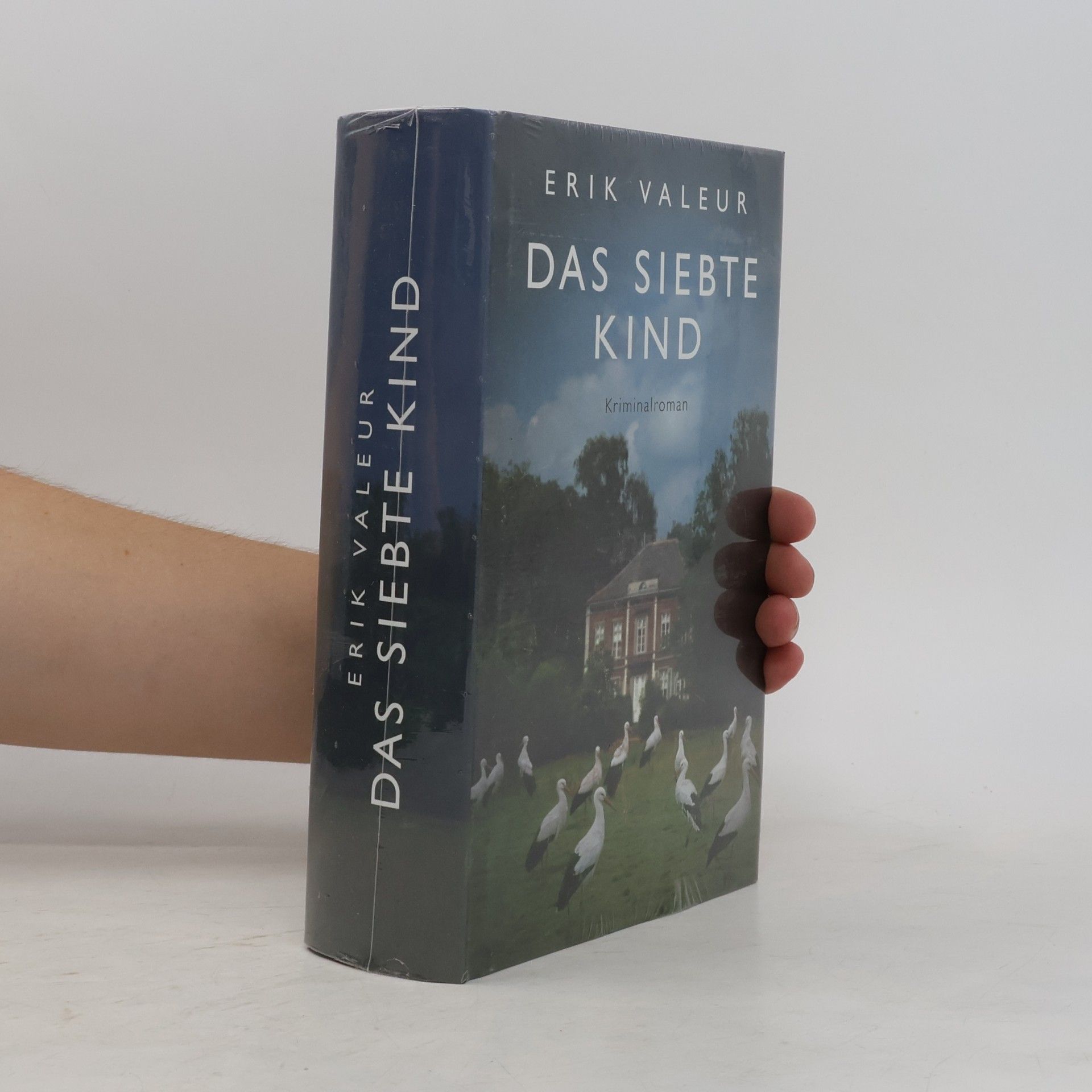 Erik Valeur Das siebte Kind