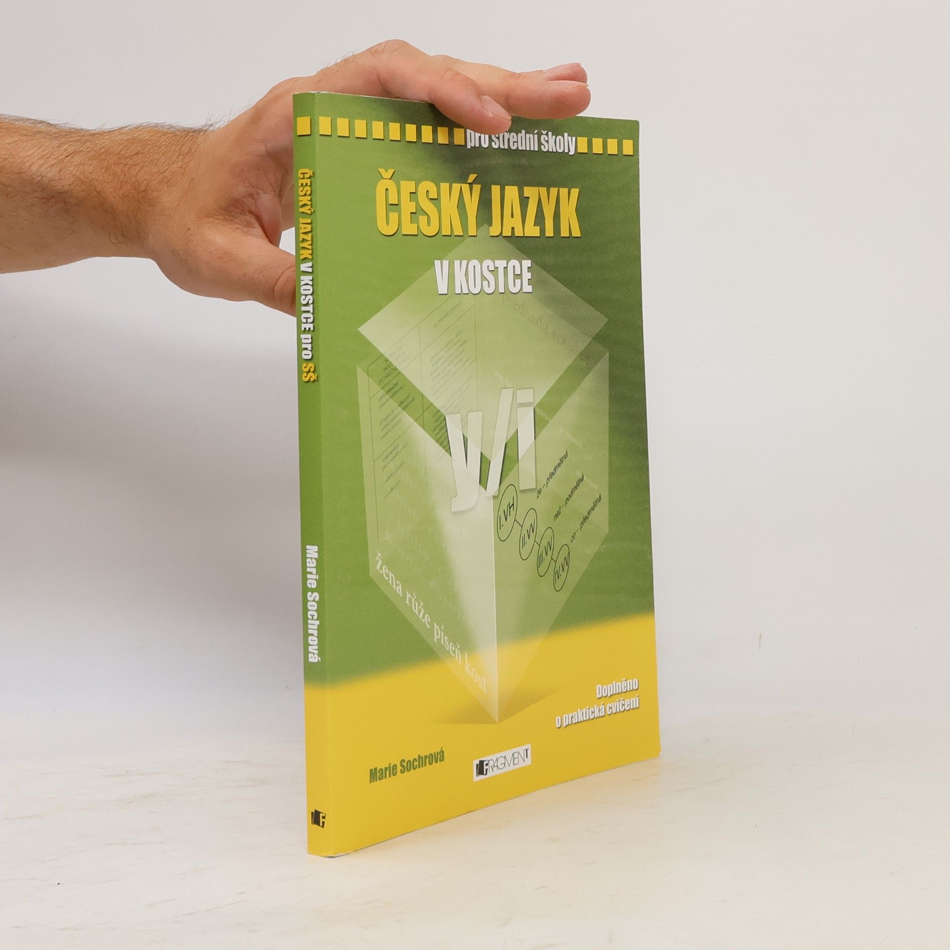 Marie Sochrová Český jazyk v kostce : pro střední školy