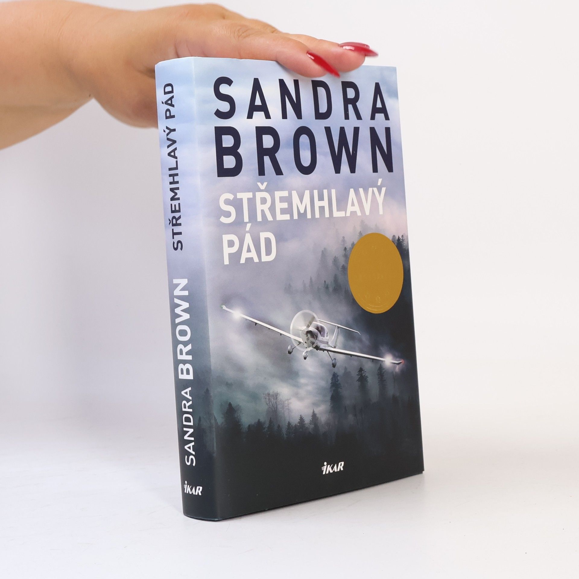 Sandra Brown Střemhlavý pád