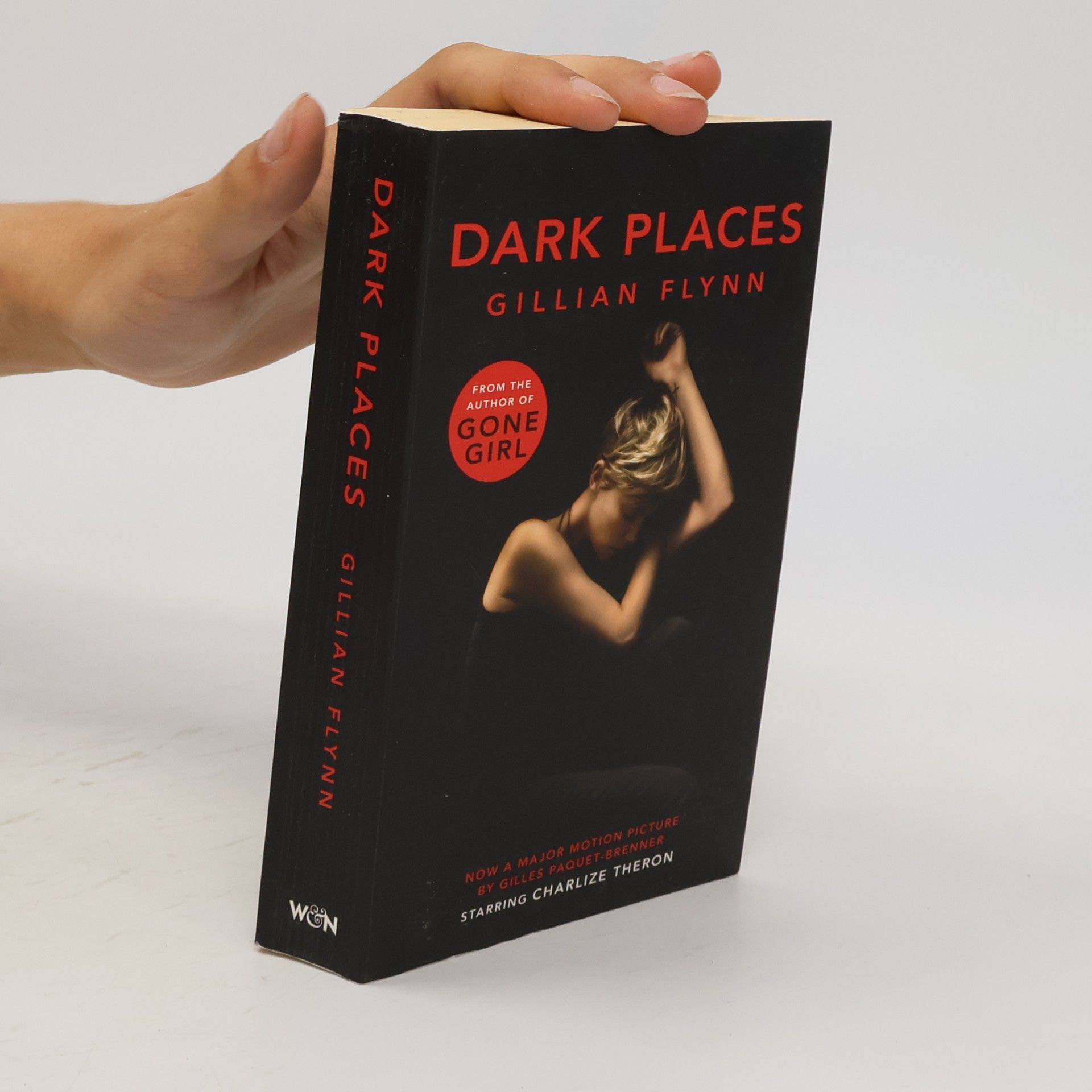 Gillian Flynn Dark Places