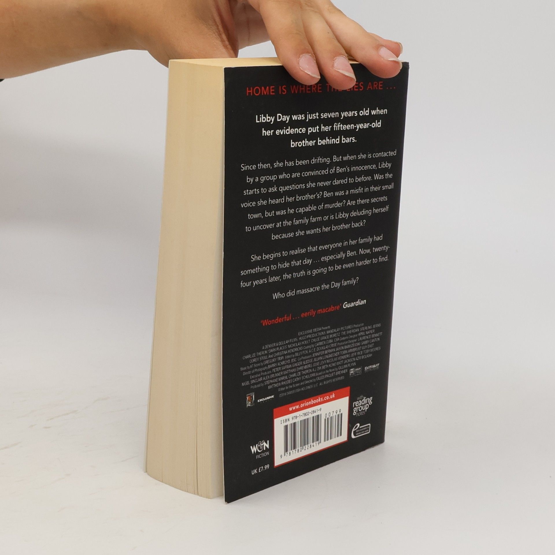 Gillian Flynn Dark Places