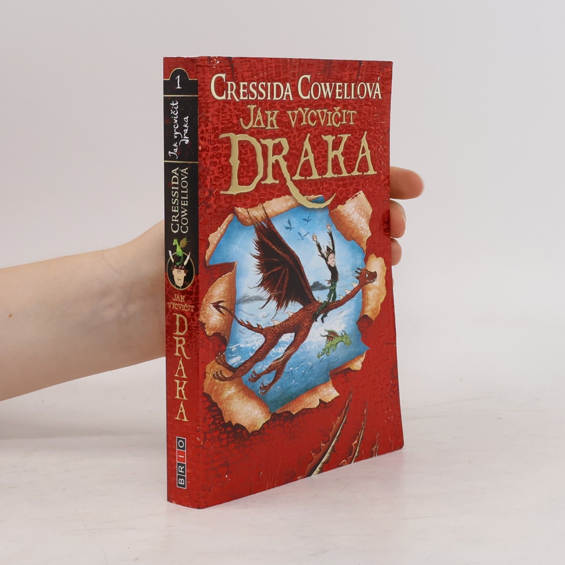 Cressida Cowell Jak vycvičit draka