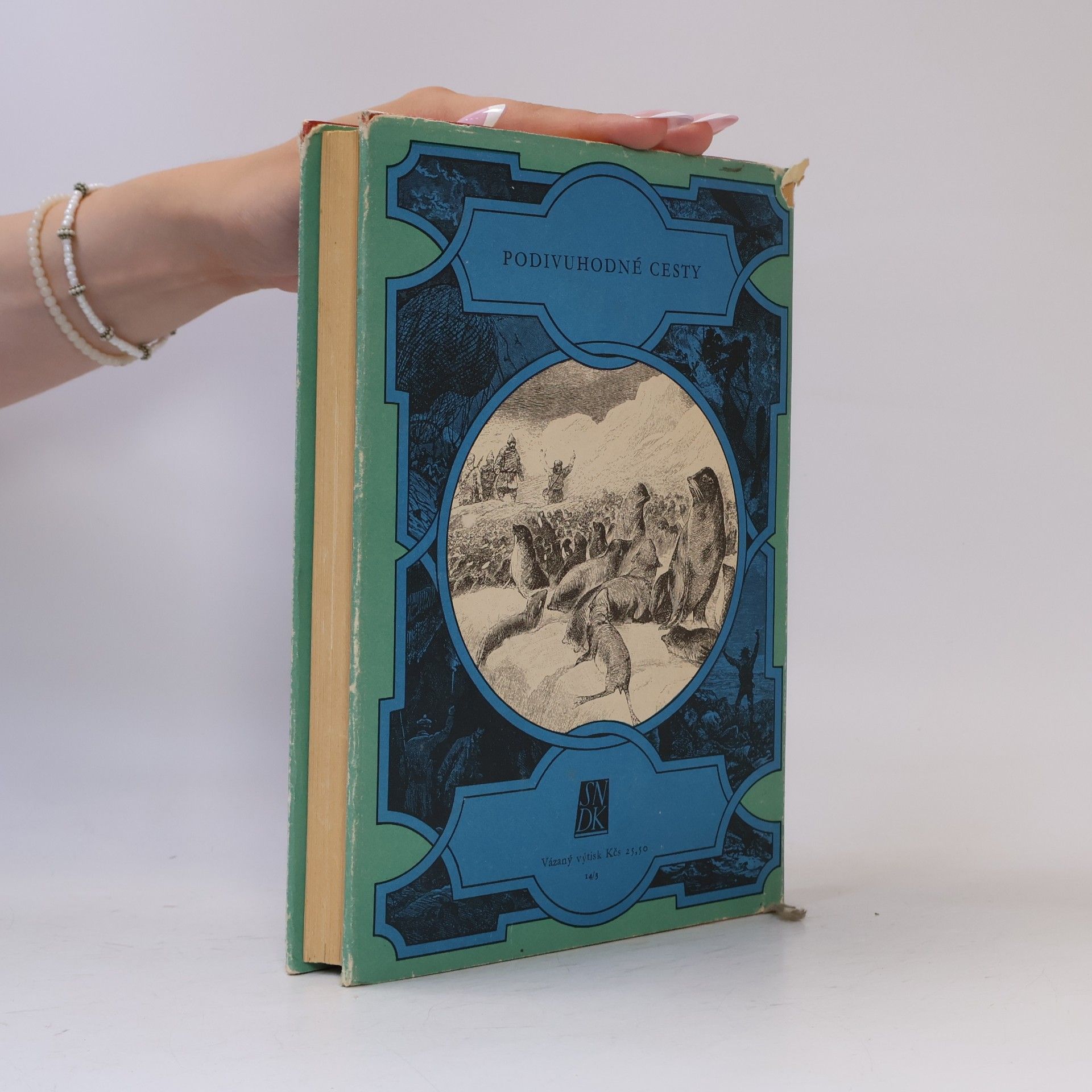 Jules Verne Oceánem na kře ledové