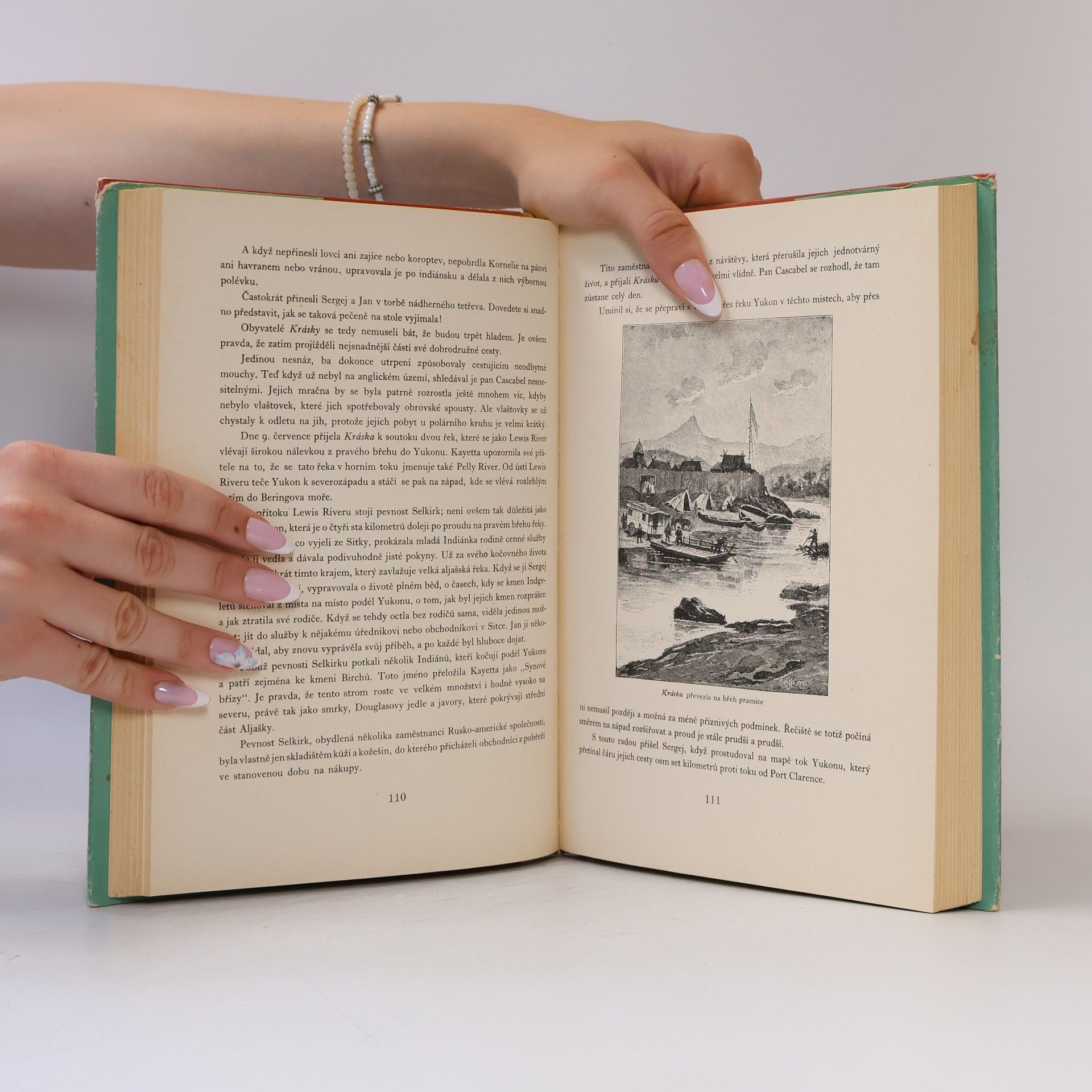 Jules Verne Oceánem na kře ledové