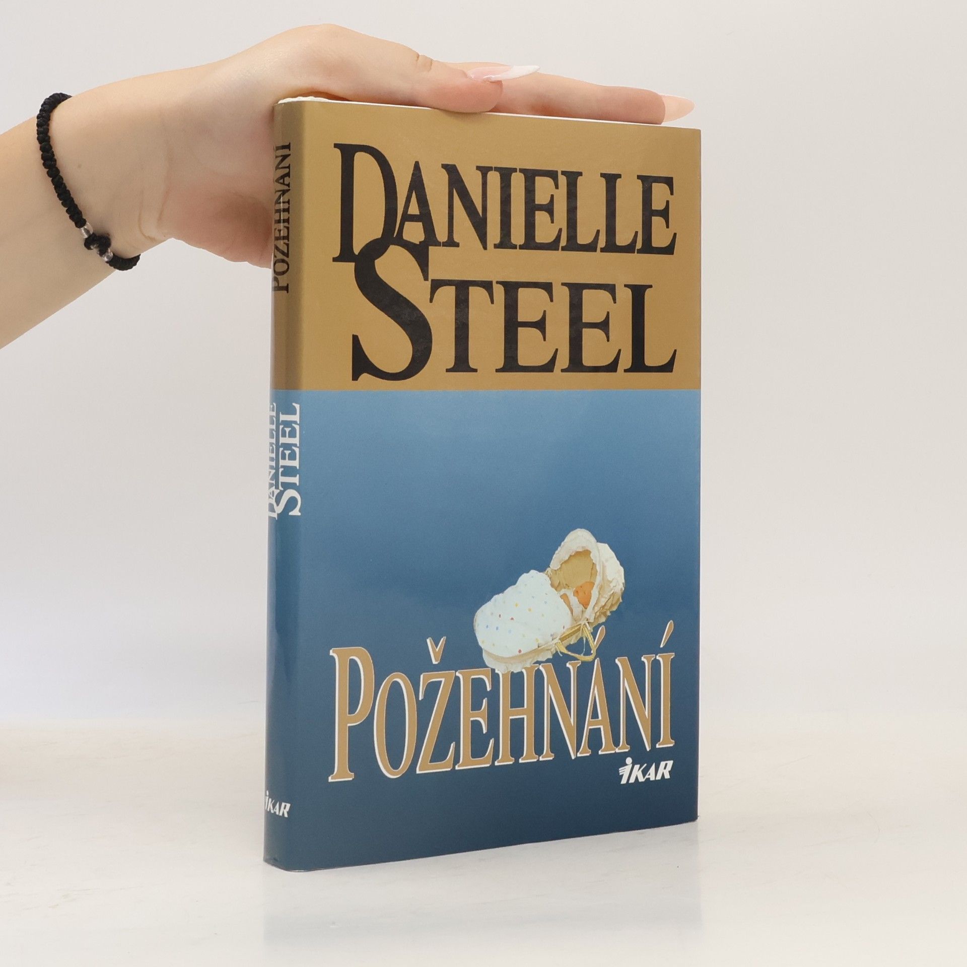 Danielle Steel Požehnání