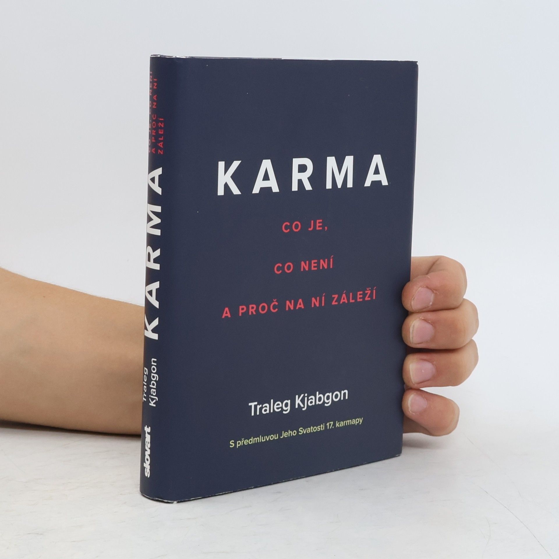 Traleg Kjabgon Karma: Co je, co není a proč na ní záleží