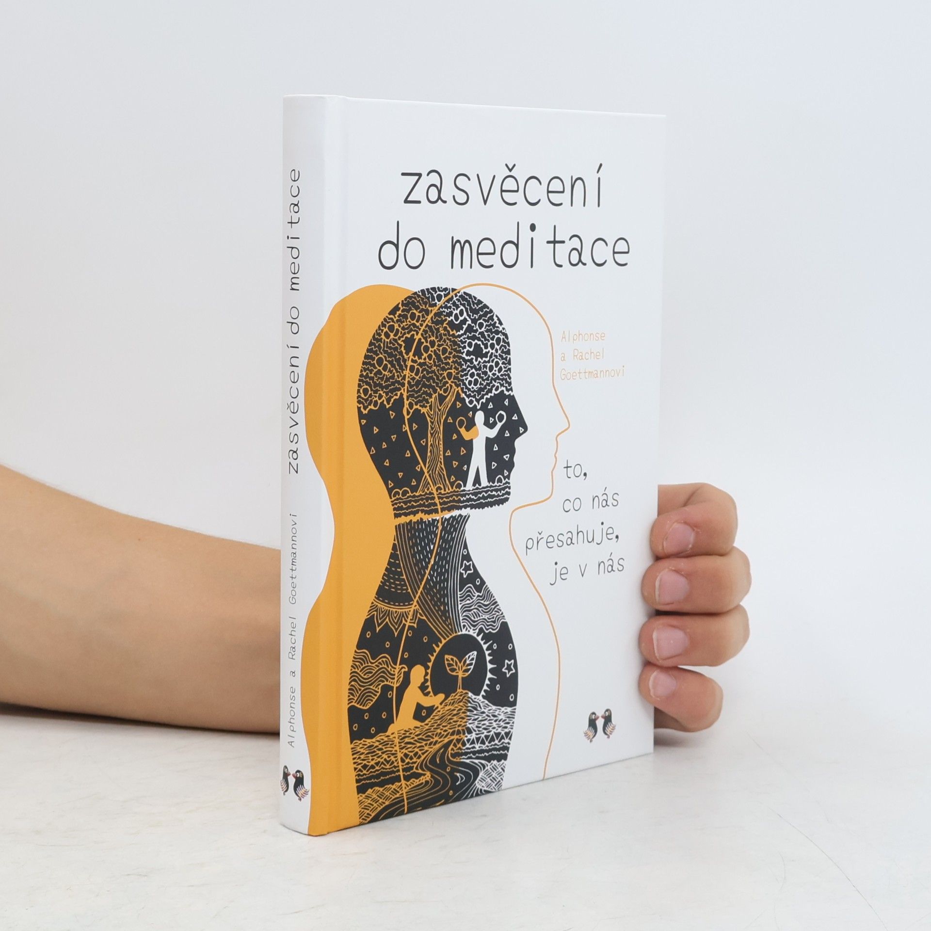 Zasvěcení do meditace : to, co nás přesahuje, je v nás