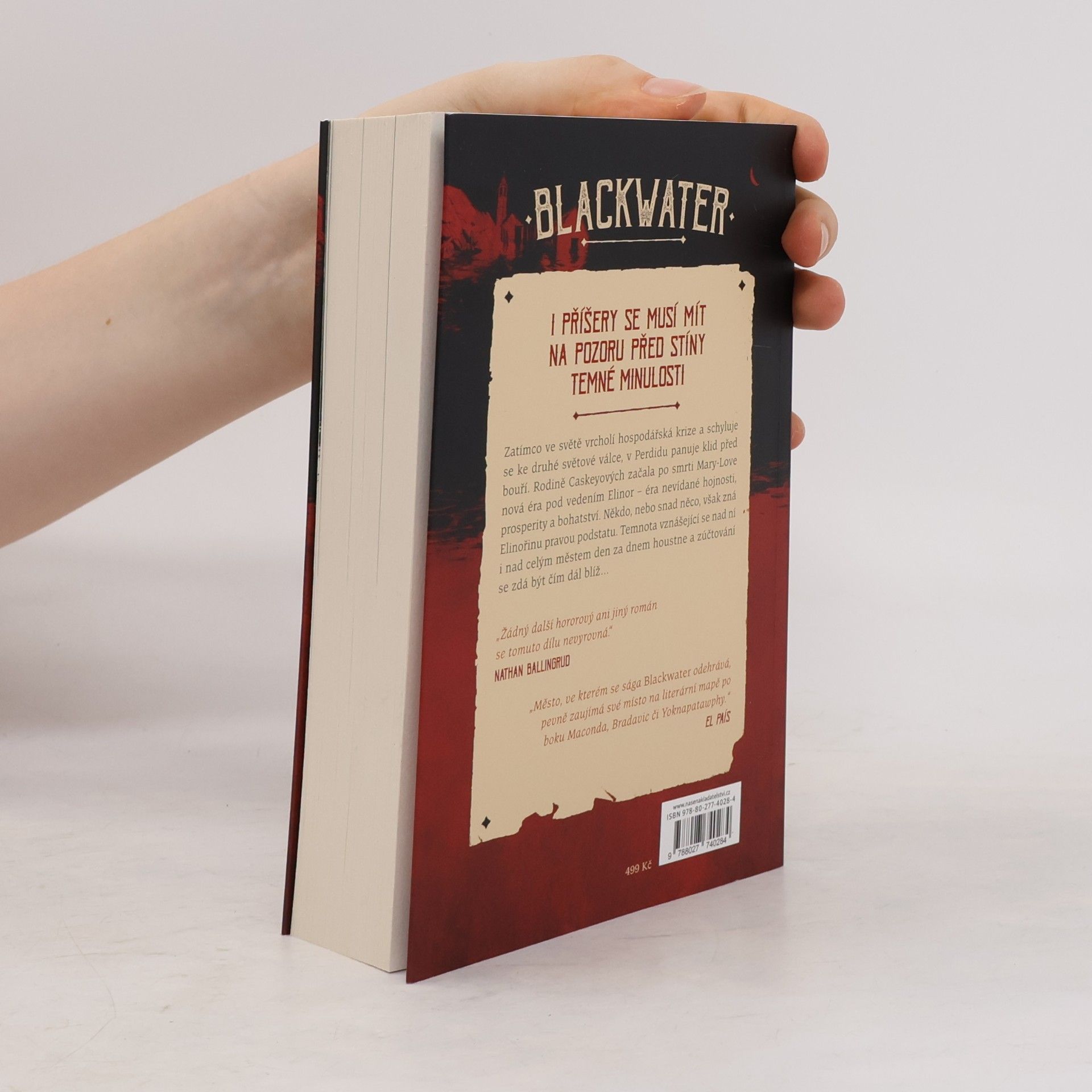 Michael McDowell Blackwater: kniha druhá