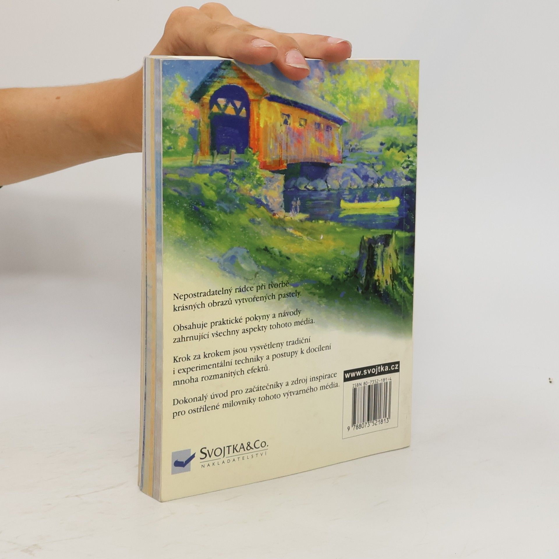 Various authors Pastely: Příručka pro výtvarníky