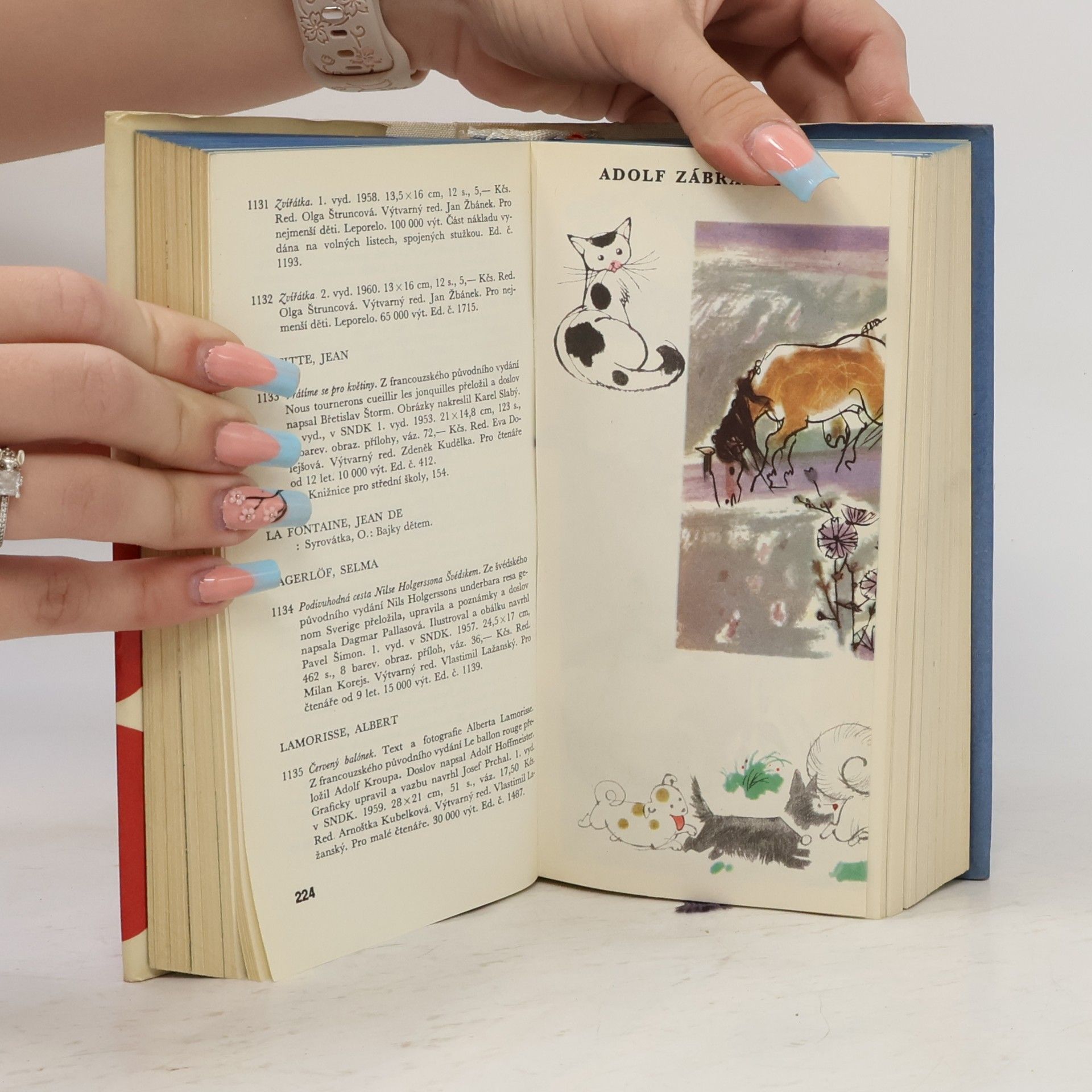 Various authors Bibliografický soupis 1949 - 1963 SNDK