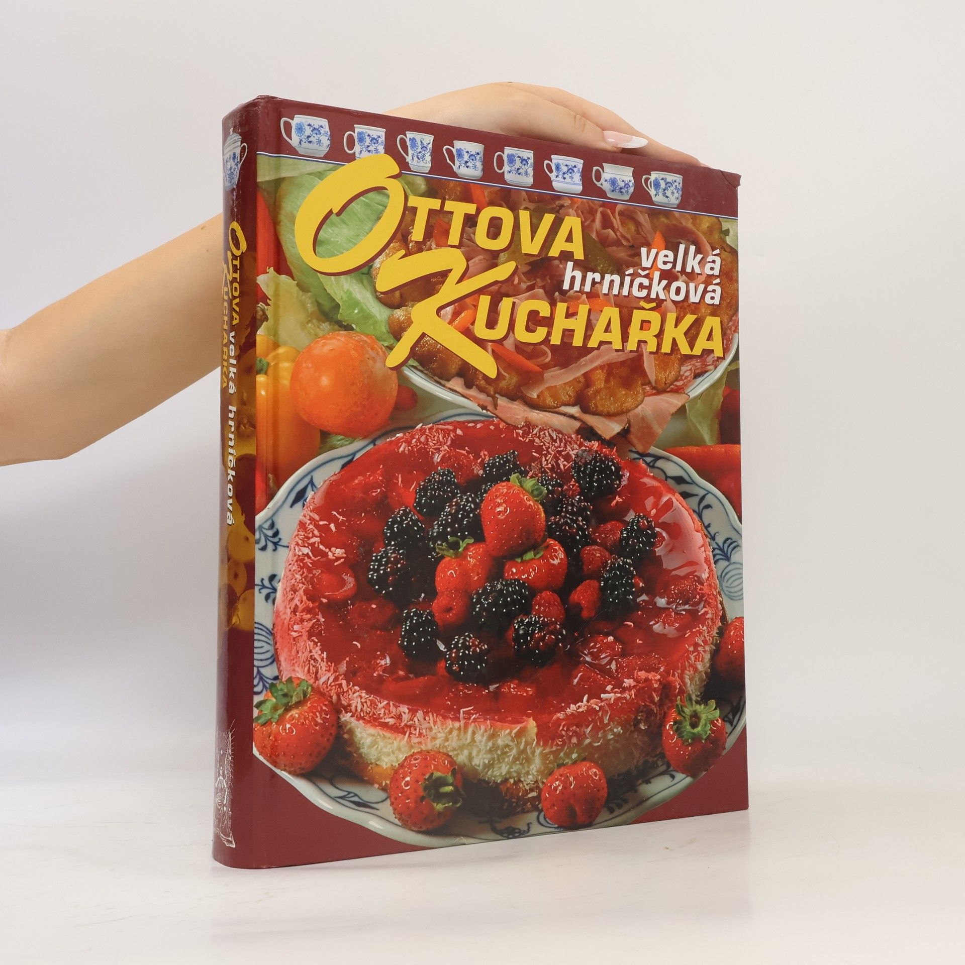 Jaroslav Vašák Ottova velká hrníčková kuchařka