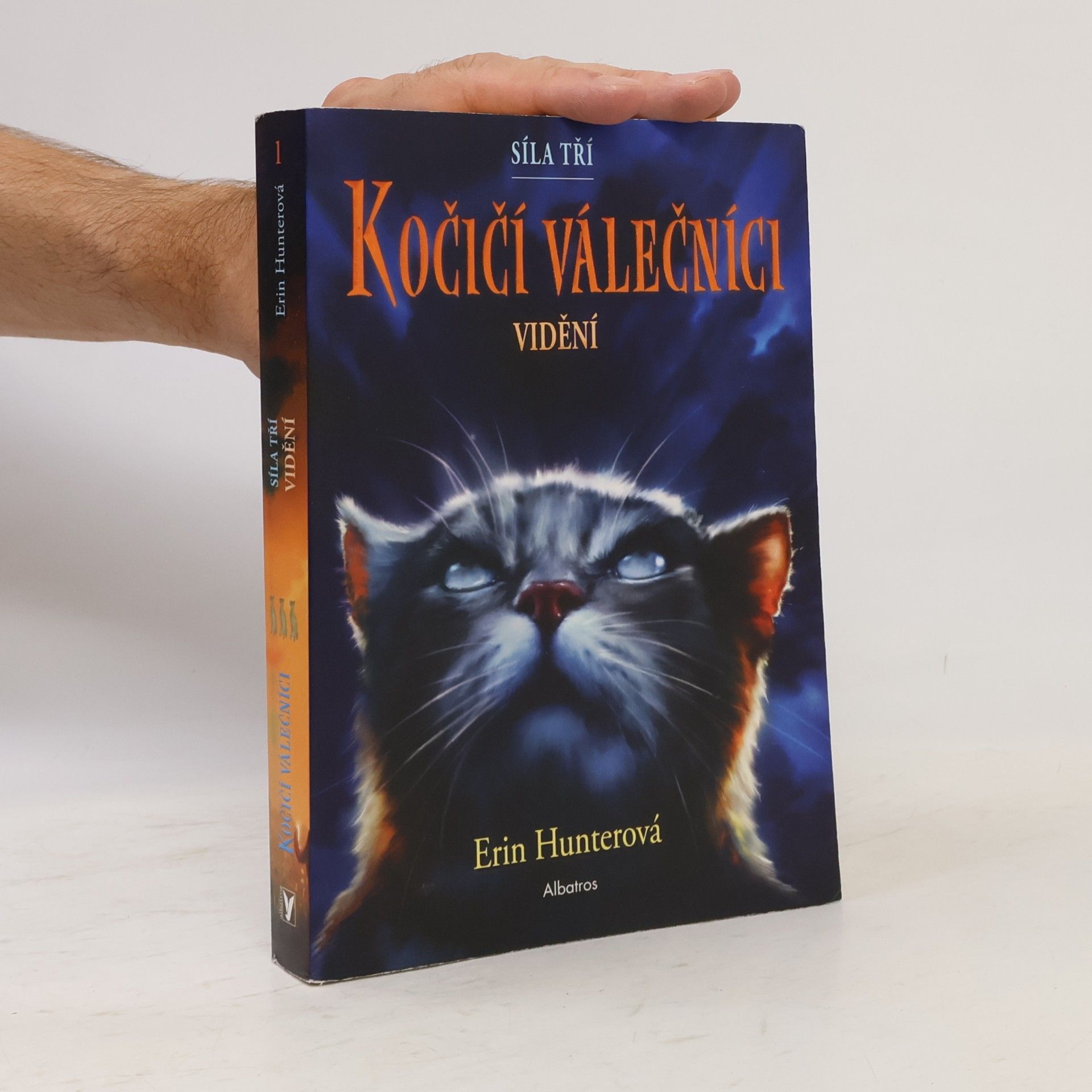 Erin Hunter Kočičí válečníci : síla tří. Vidění