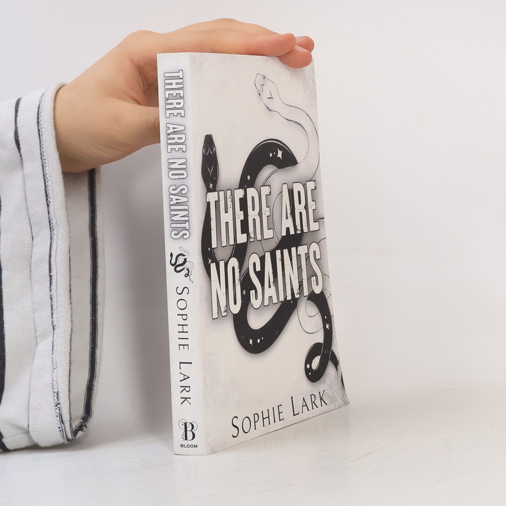 Sophie Lark There Are No Saints