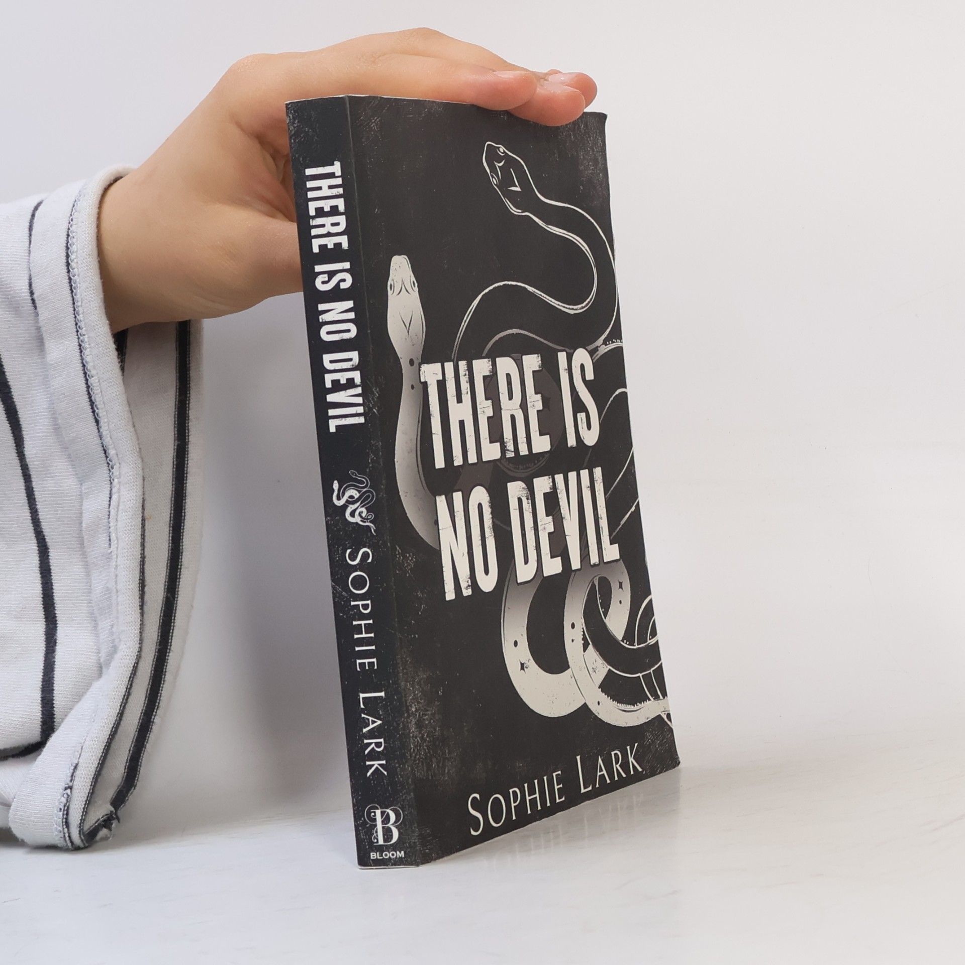 Sophie Lark There Is No Devil