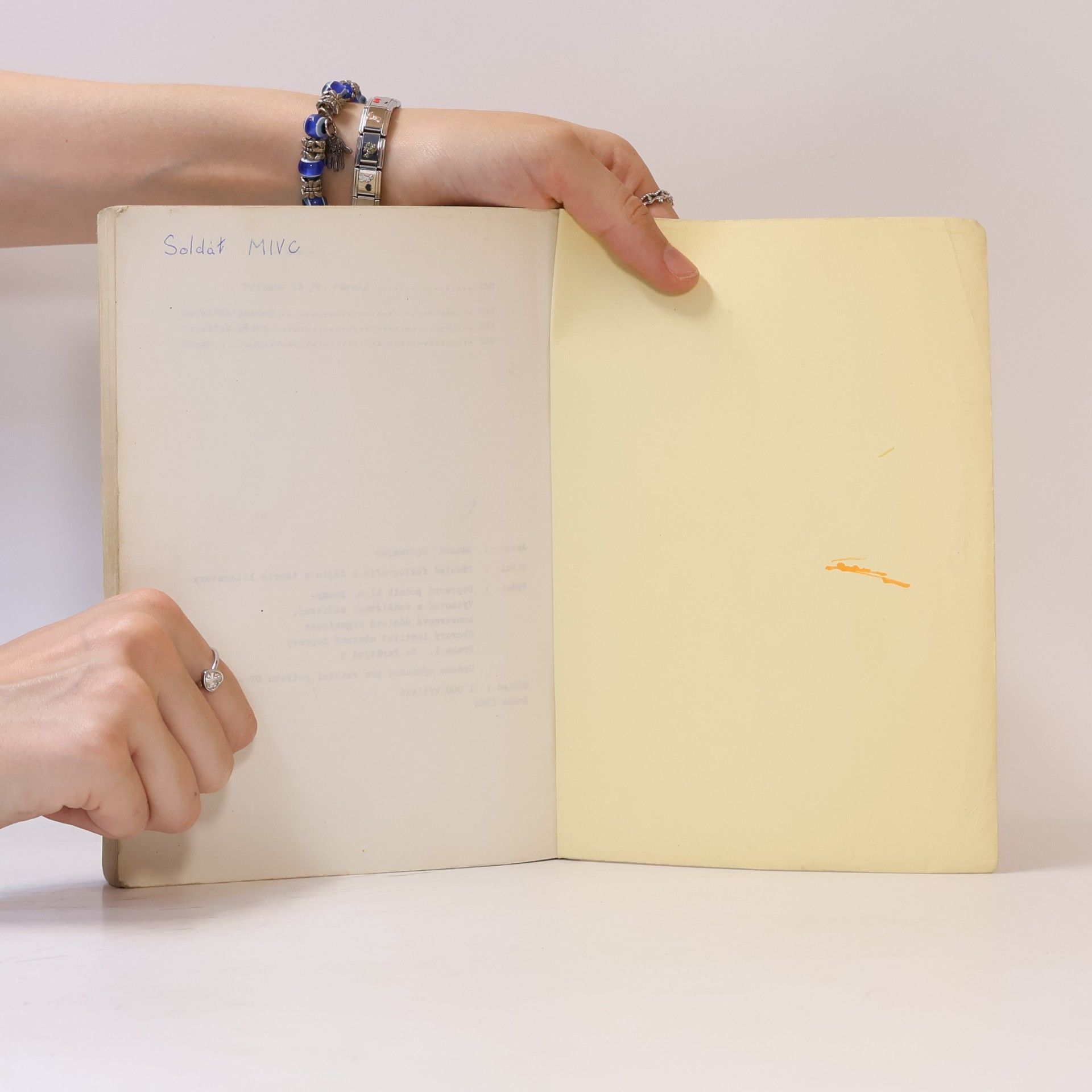 Eduard Egermajer Přehled faktografie z dějin a teorie literatury