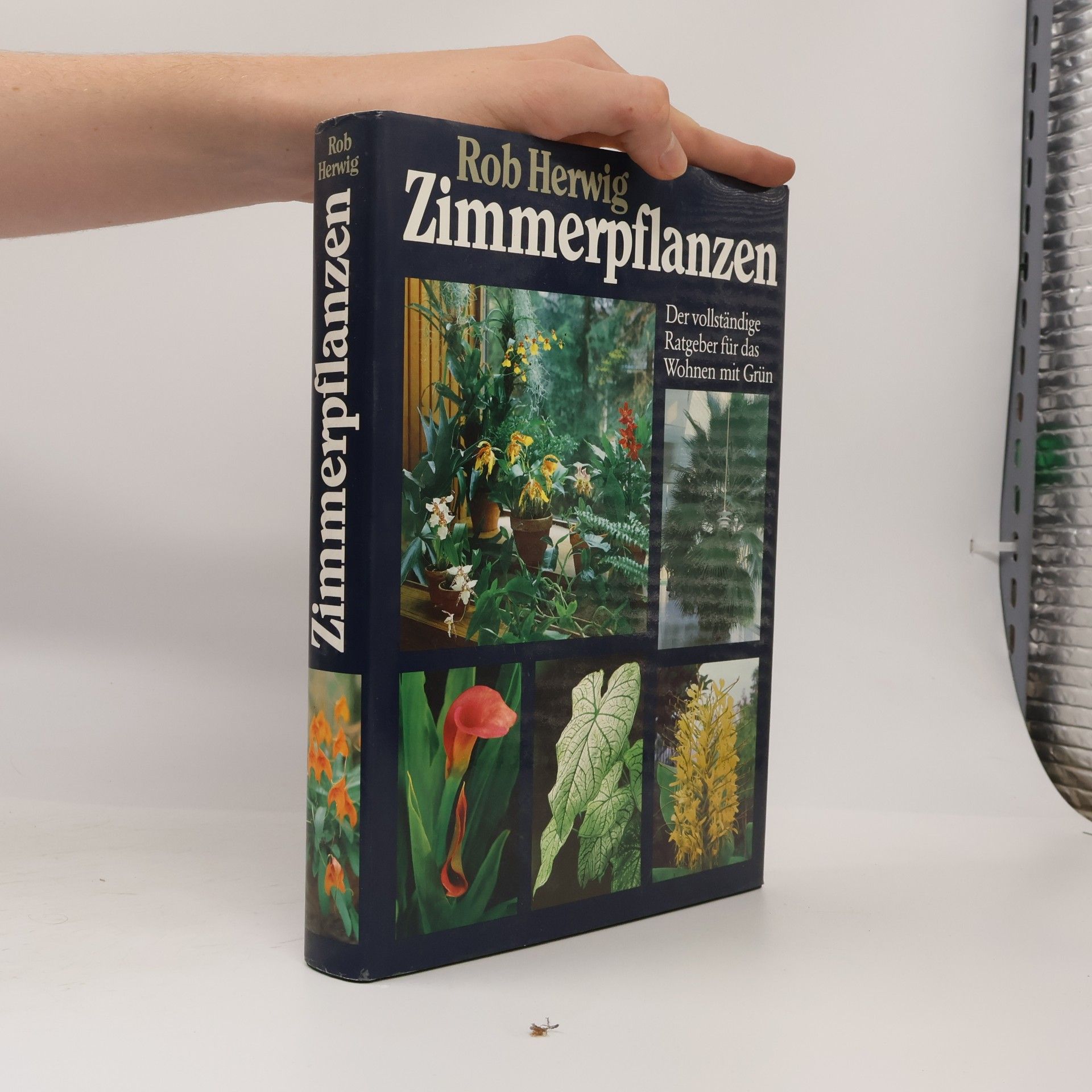 Rob Herwig Zimmerpflanzen