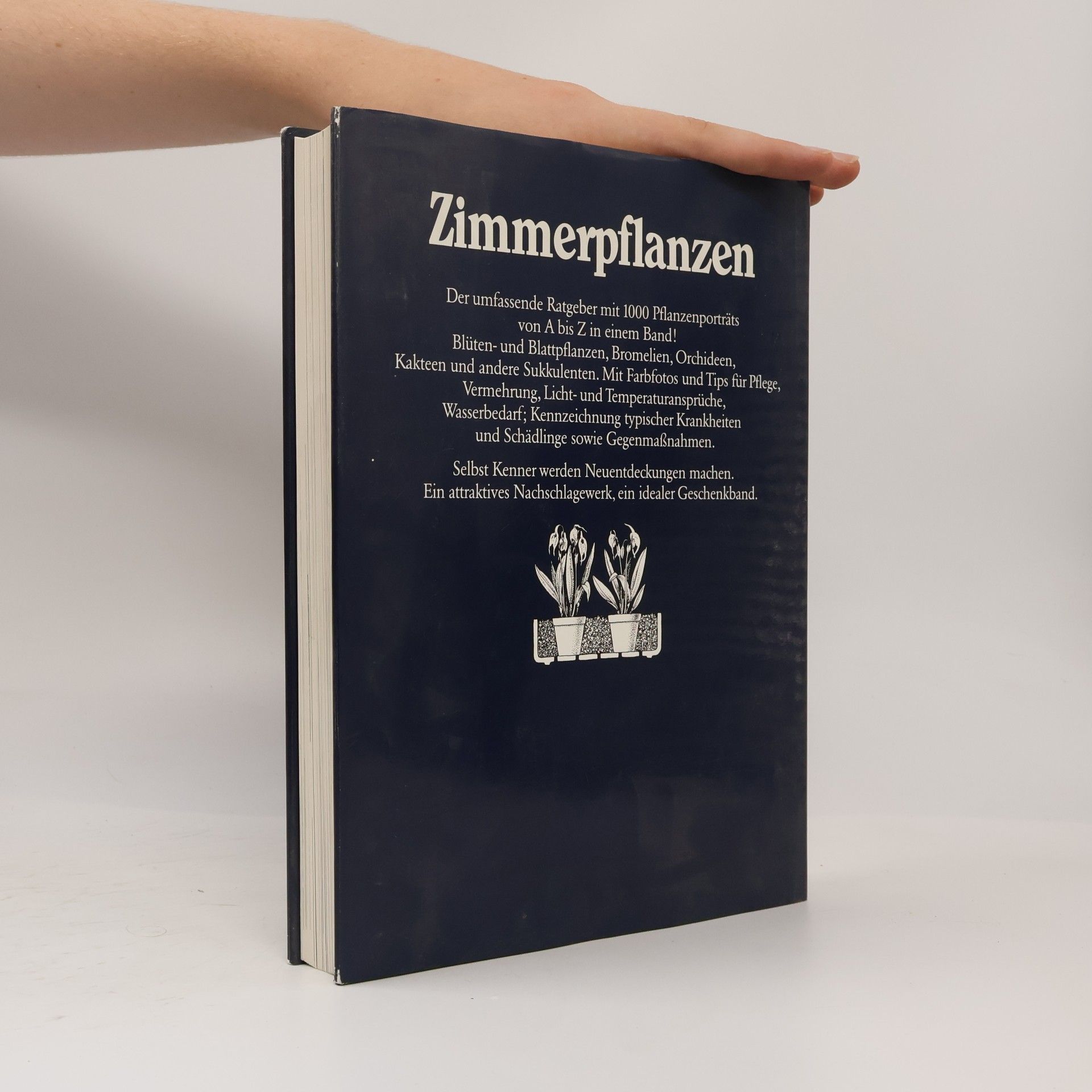 Rob Herwig Zimmerpflanzen
