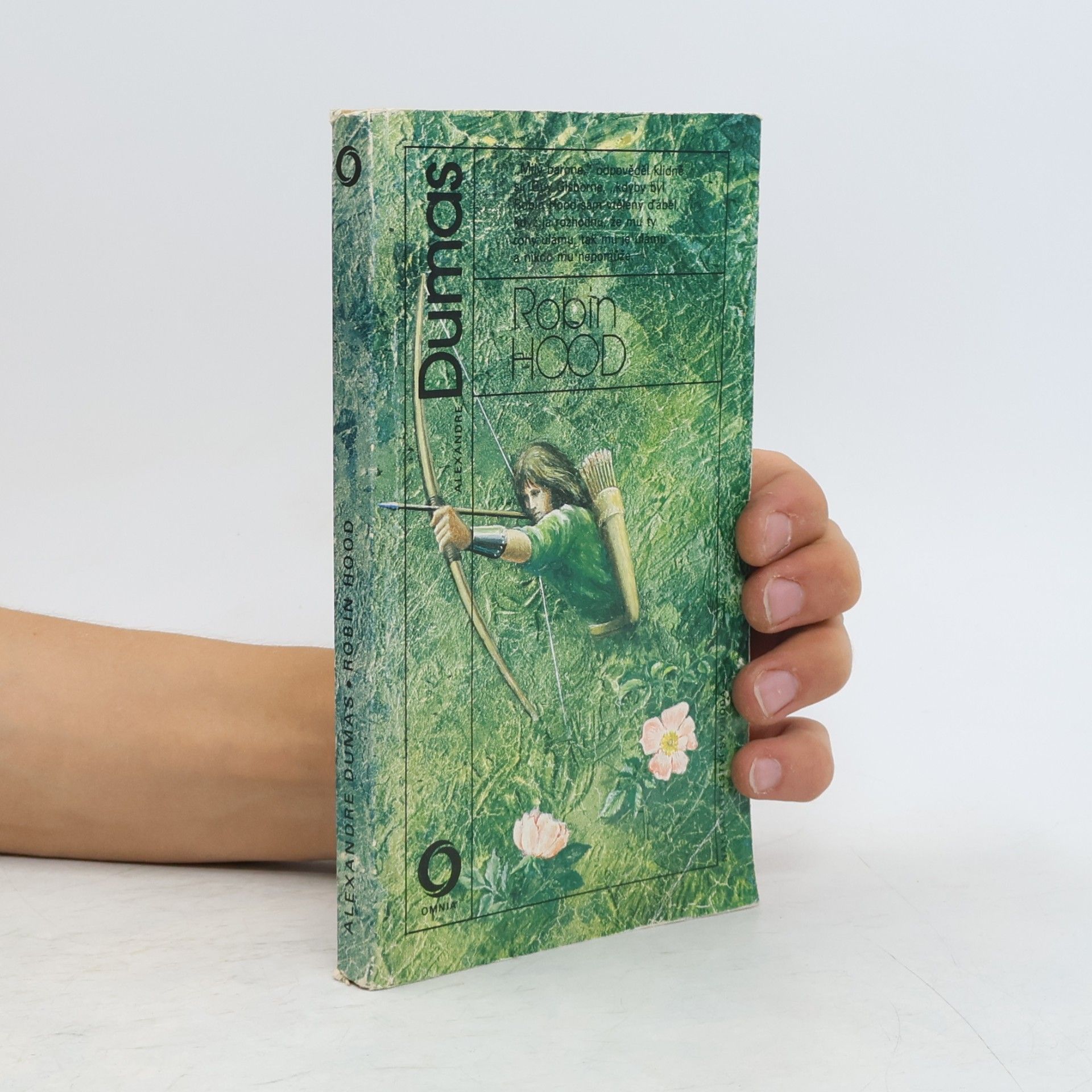 Alexandre Dumas Robin Hood
