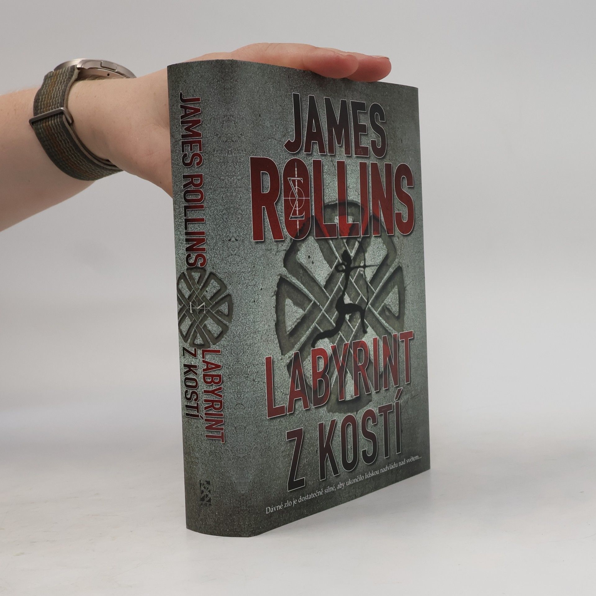 James Rollins Labyrint z kostí