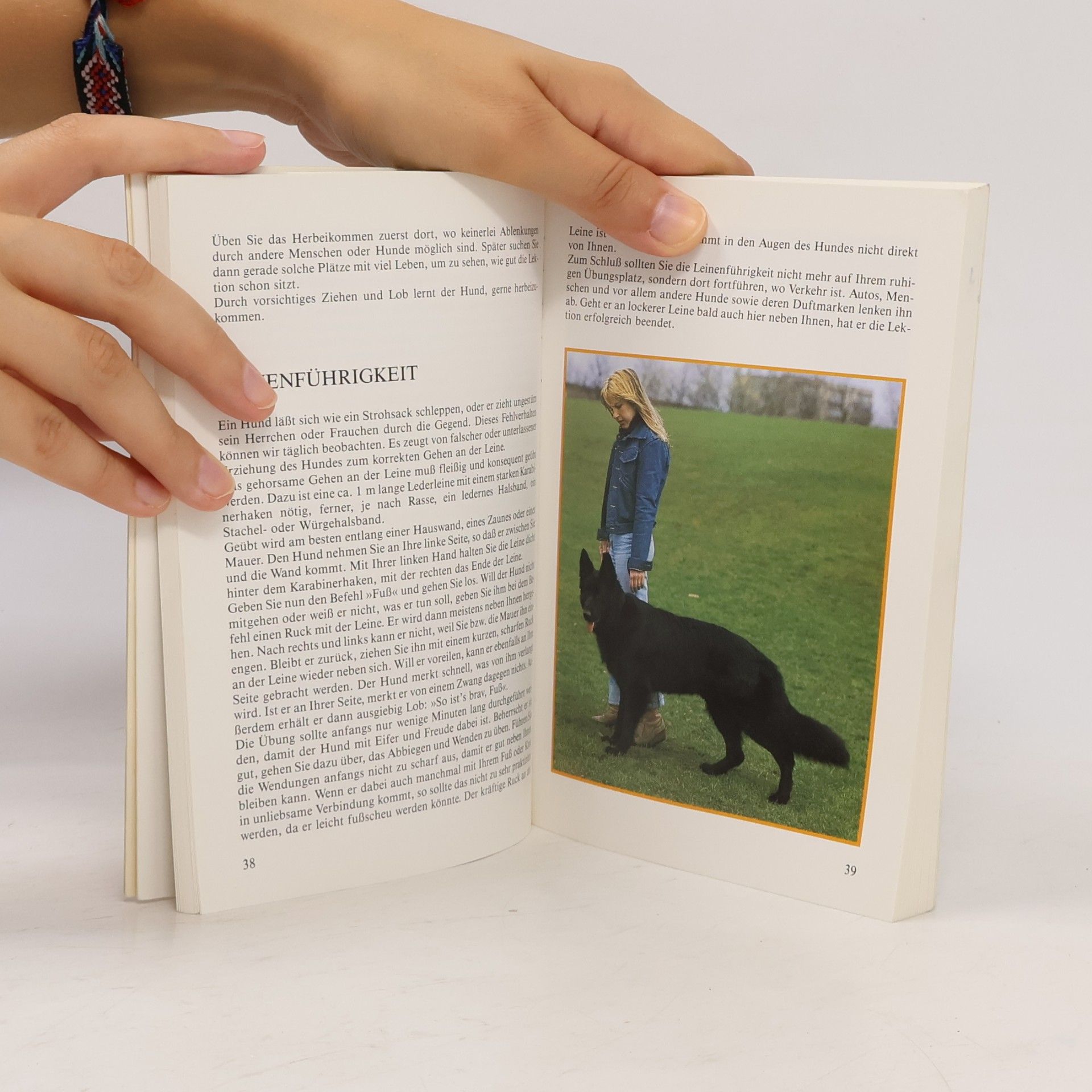 Horst Biefeld Farbiger Ratgeber Hunde