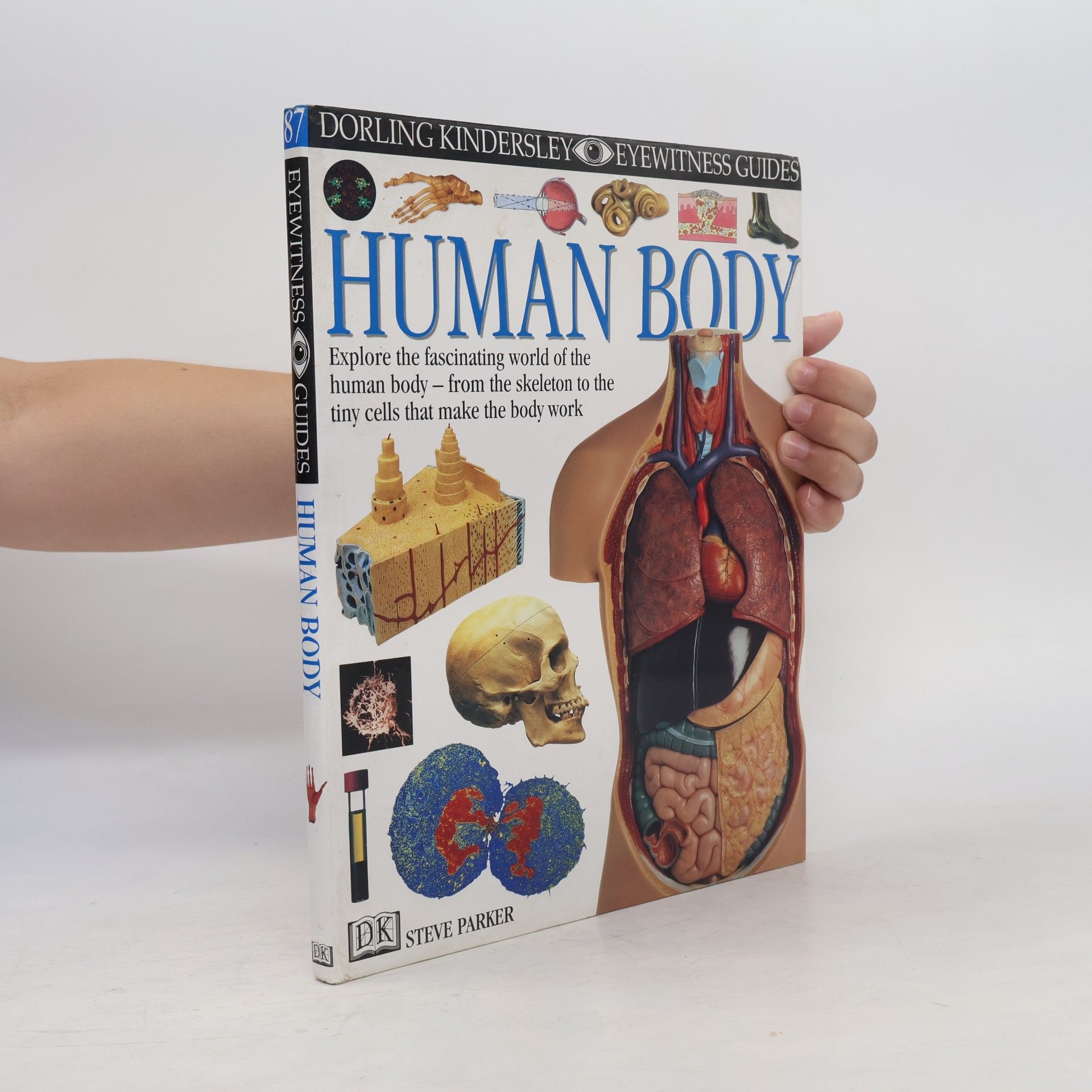 Steve Parker Human Body