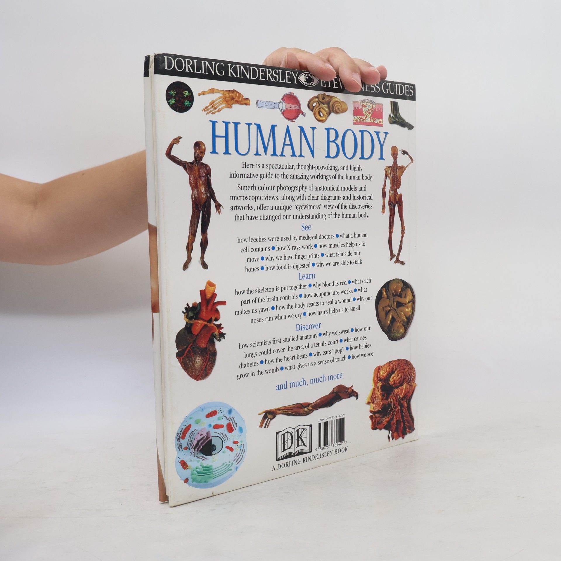 Steve Parker Human Body