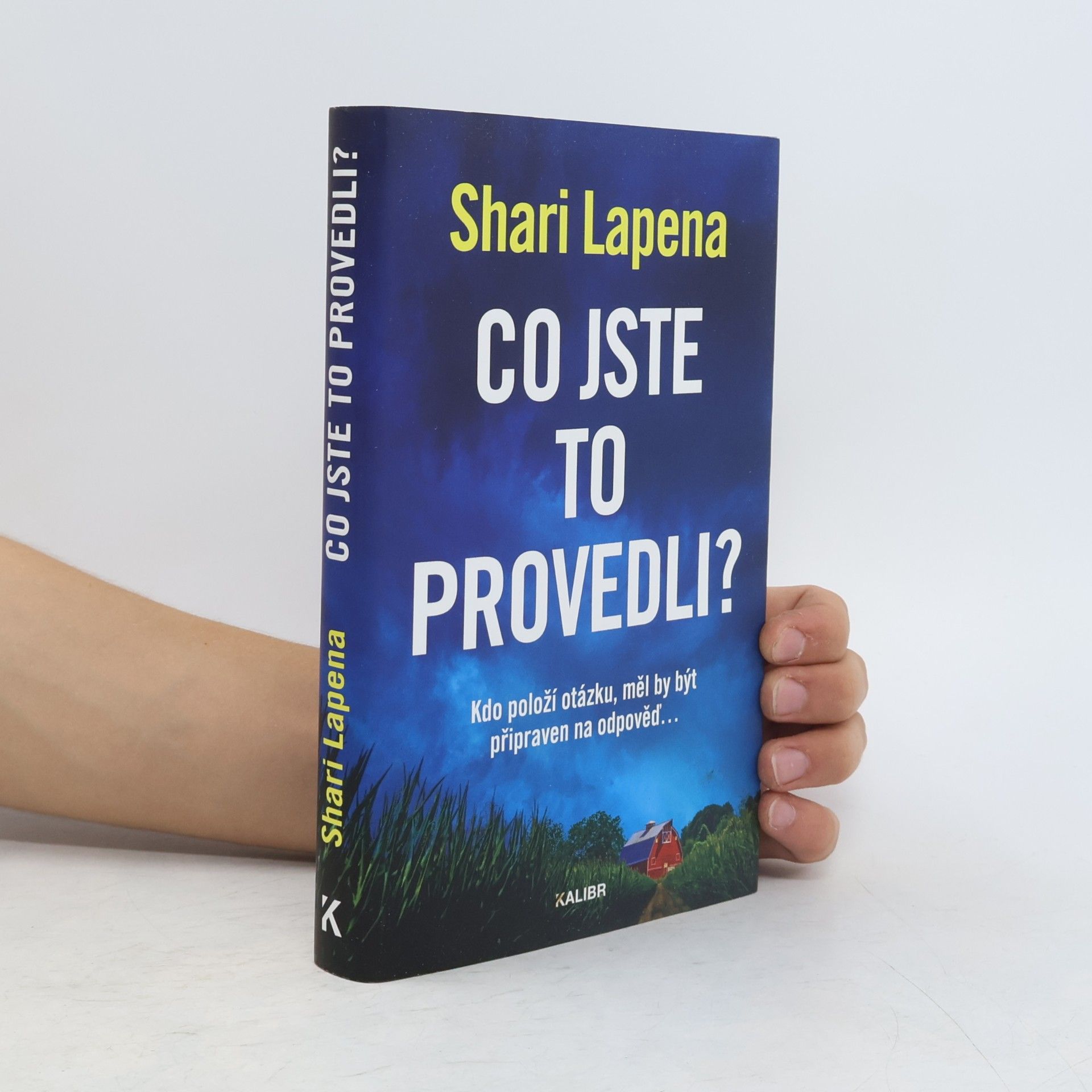 Shari Lapena Co jste to provedli?