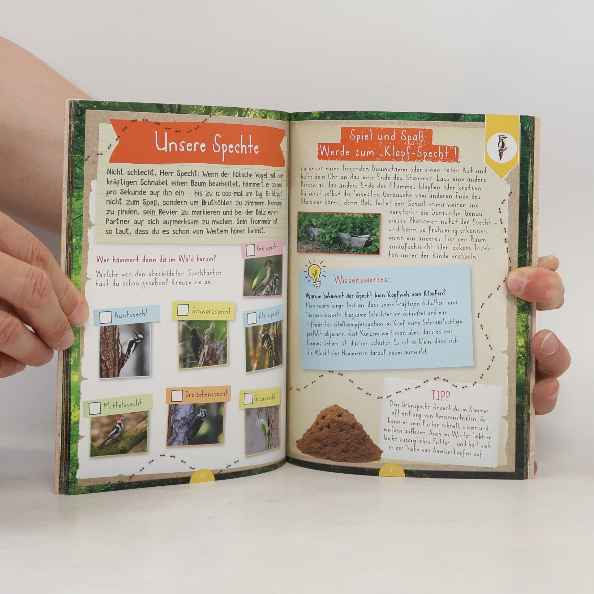 Angelika Huber-Janisch Naturforscher-Kids – Mitmachbuch im Wald