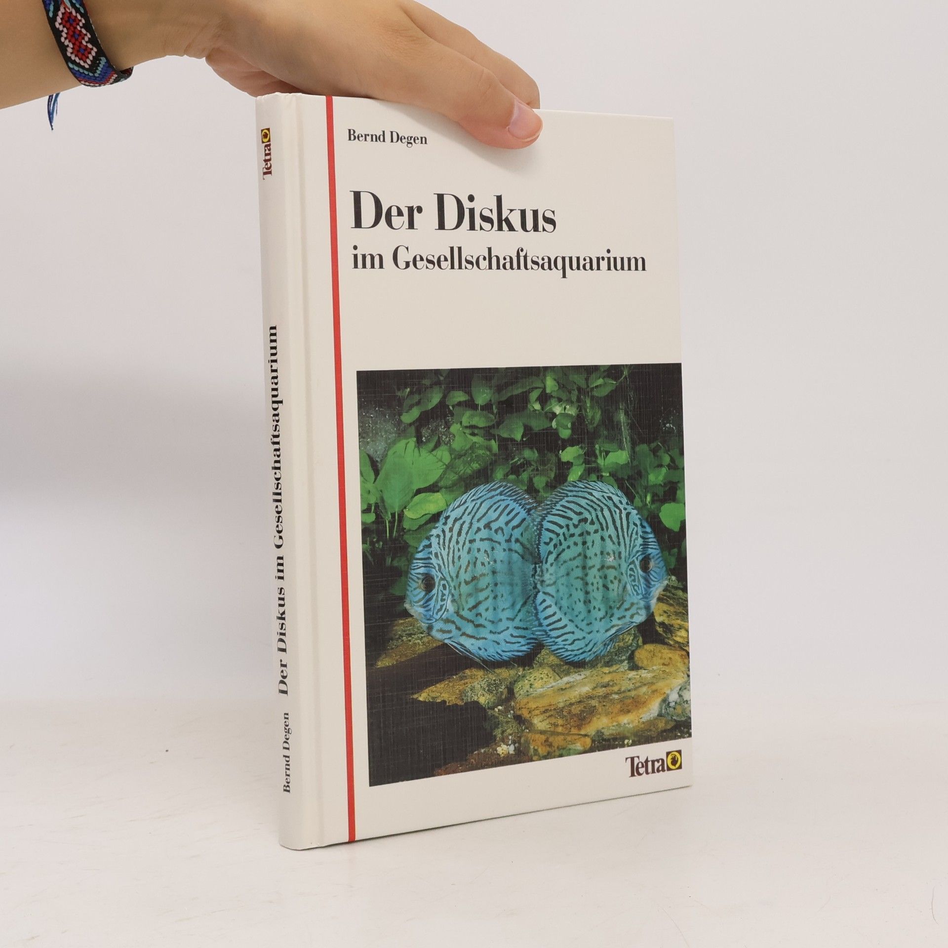 Bernd Degen Der Diskus im Gesellschaftsaquarium