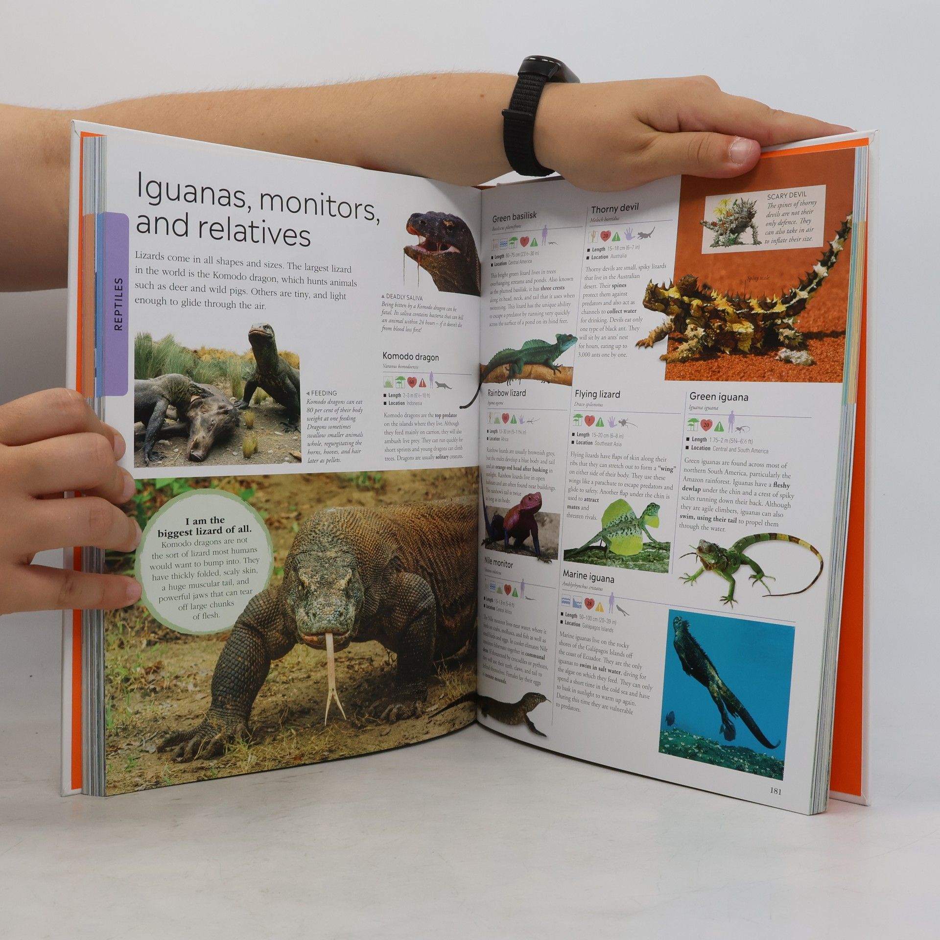 Dorling Kindersley Animals
