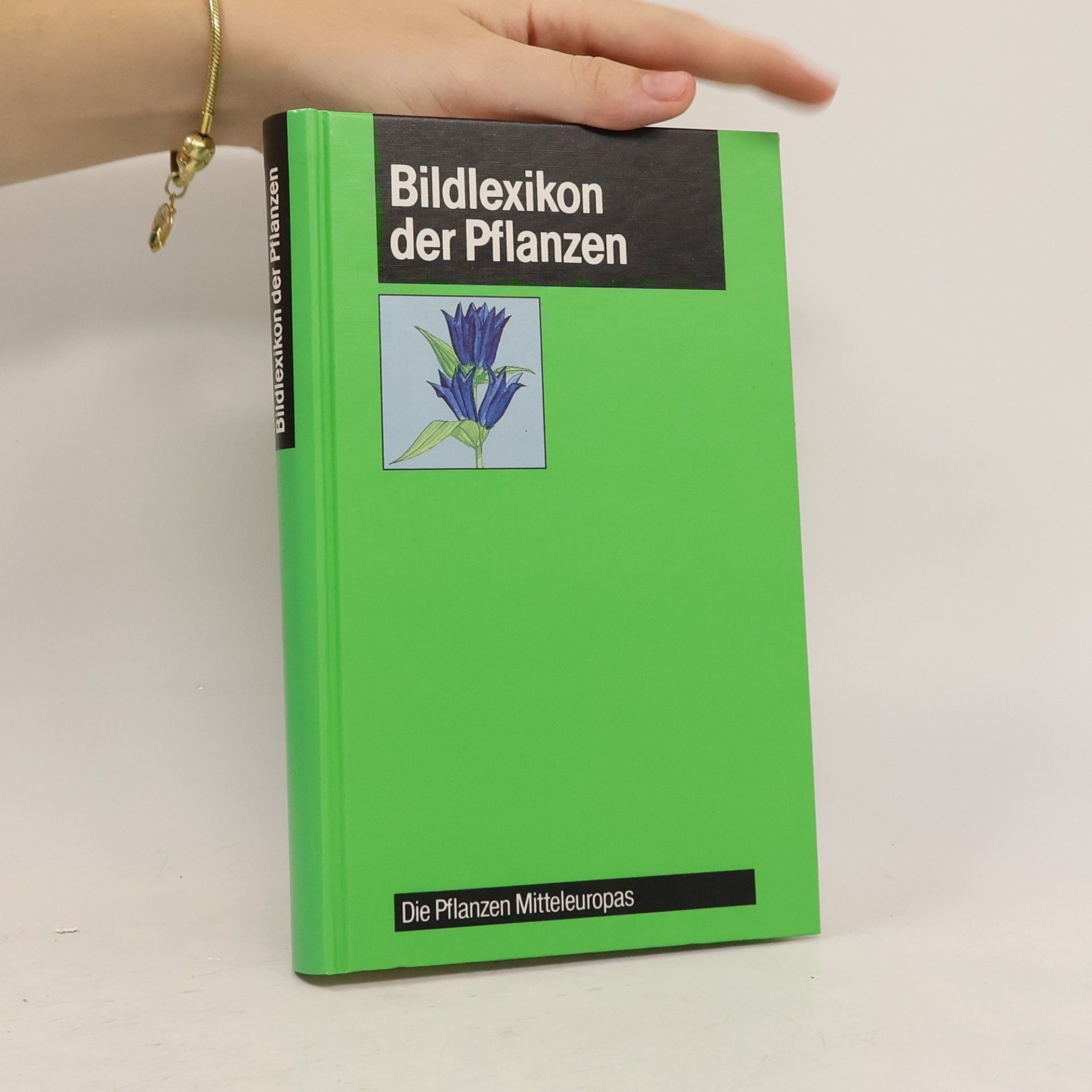 Autorenkollektiv Bildlexikon der Pflanzen