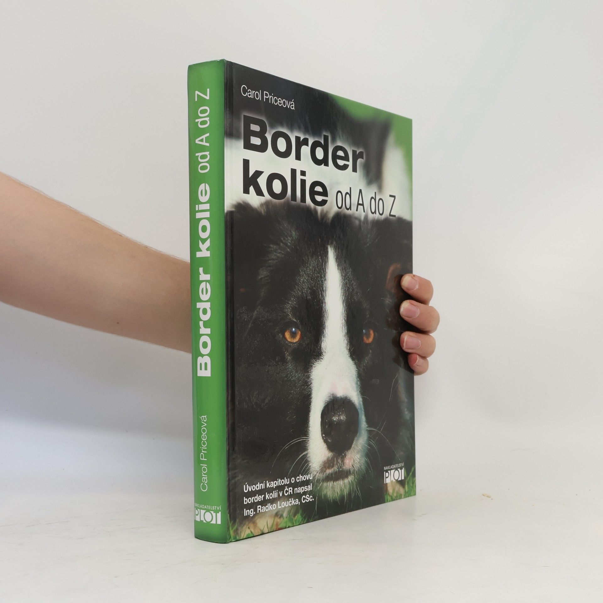 Carol Price Border kolie od A do Z