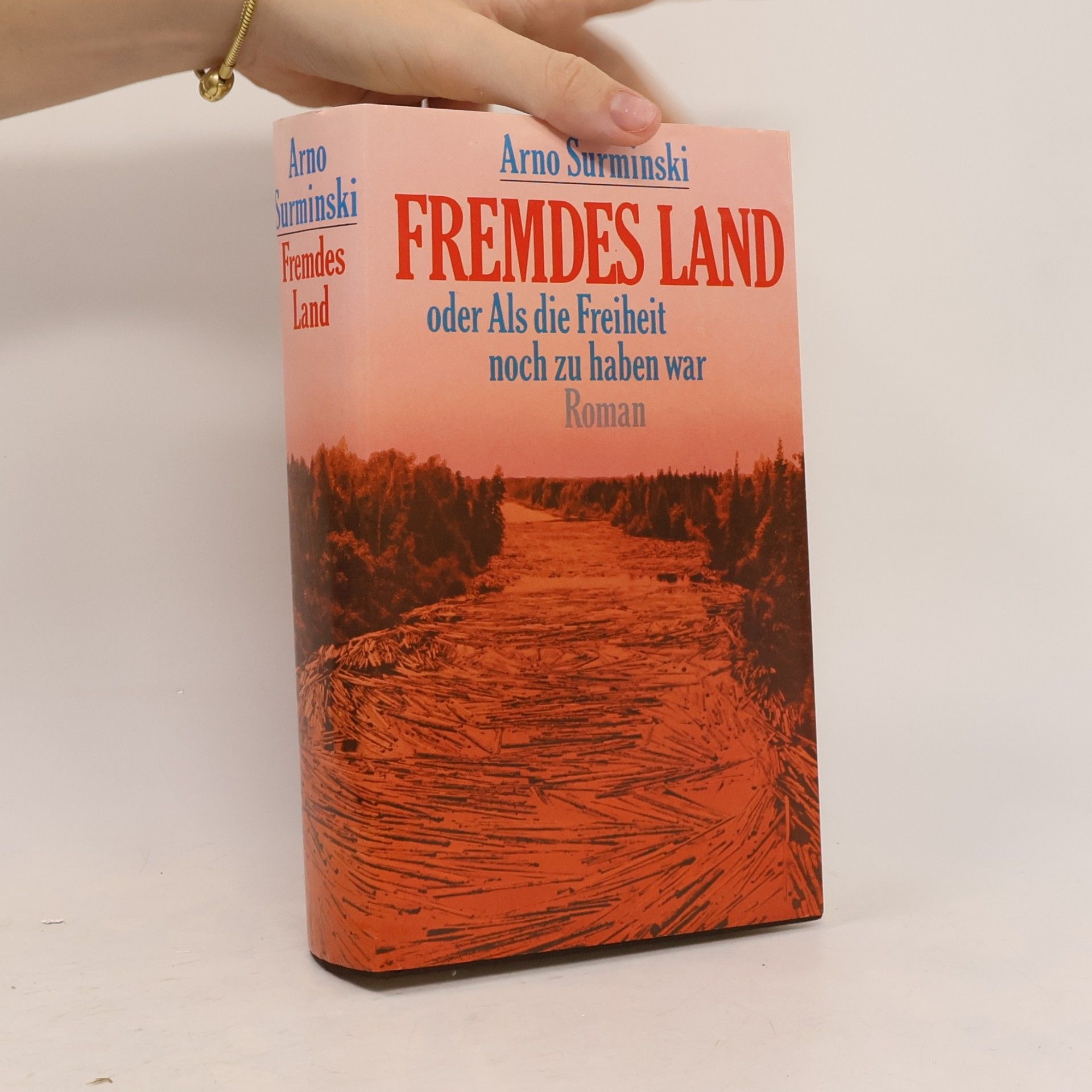 Fremdes Land oder Als die Freiheit noch zu haben war