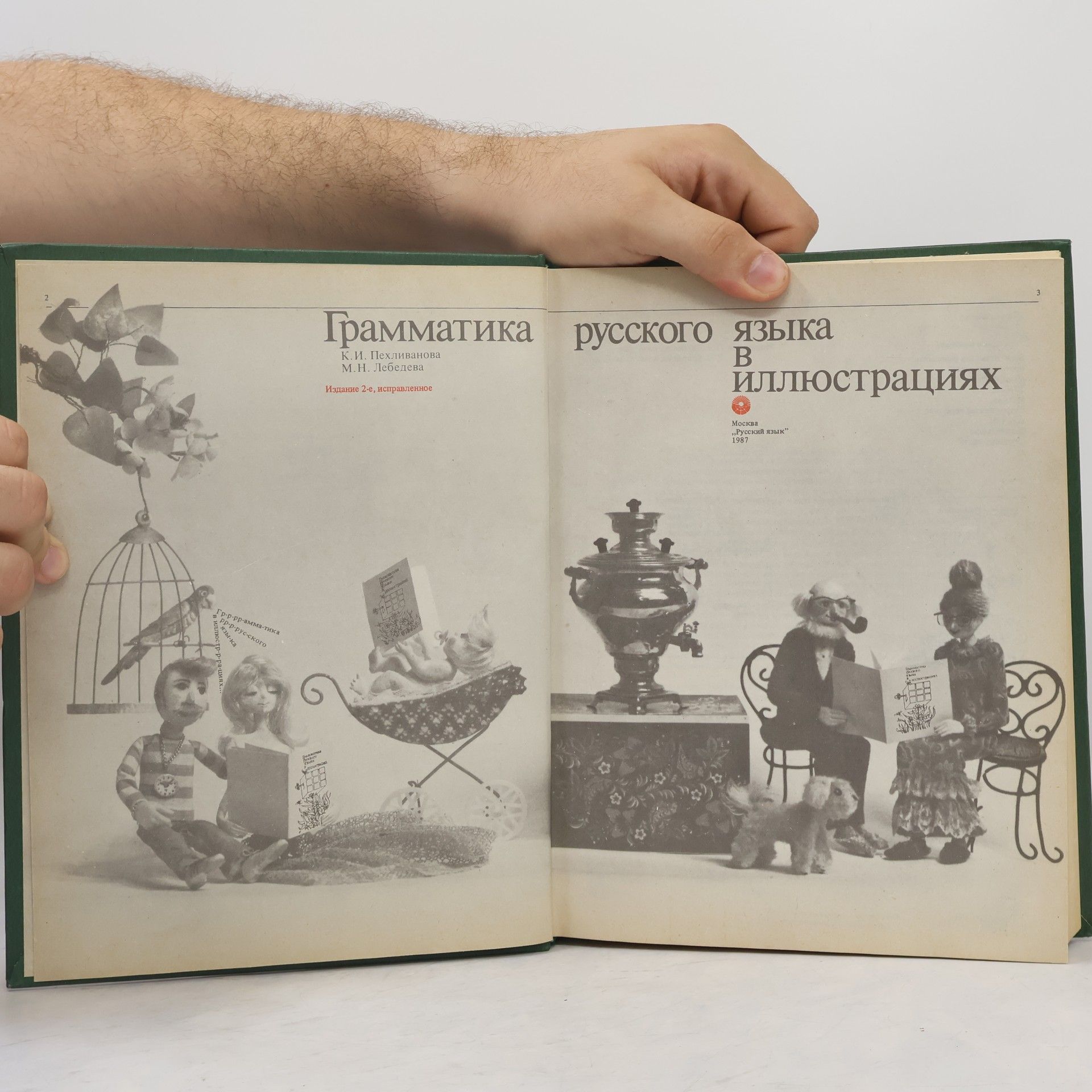 Autorenkollektiv Грамматика русского языка B иллюстрациях