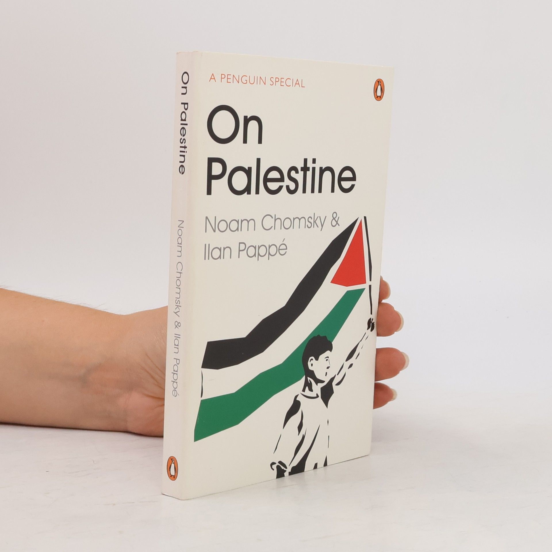 Noam Chomsky On Palestine