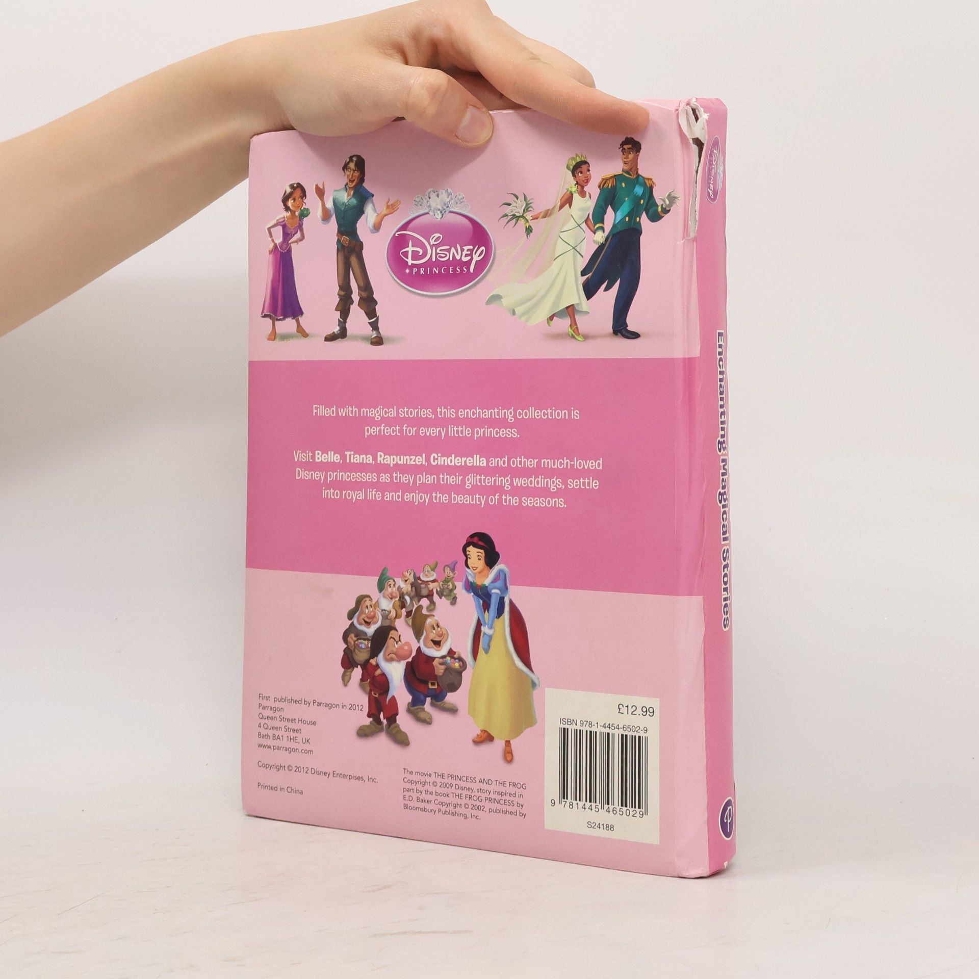 Katrina Hanford Disney Mega Treasury - Enchanting Magical Stories